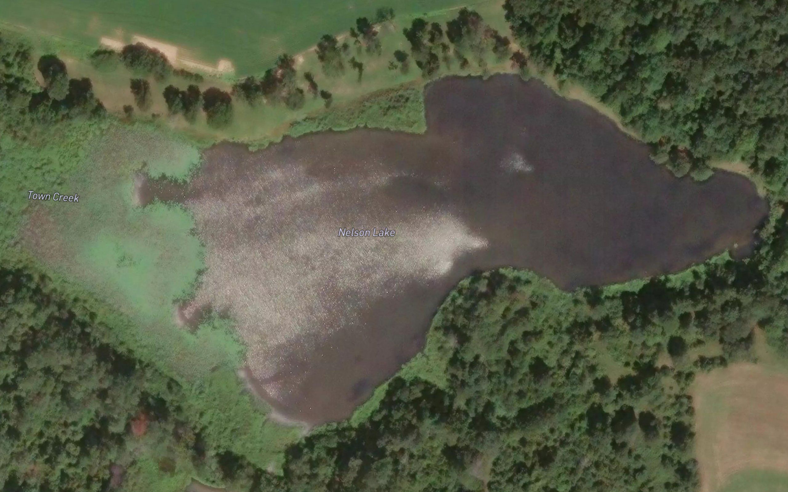 Nelson Lake