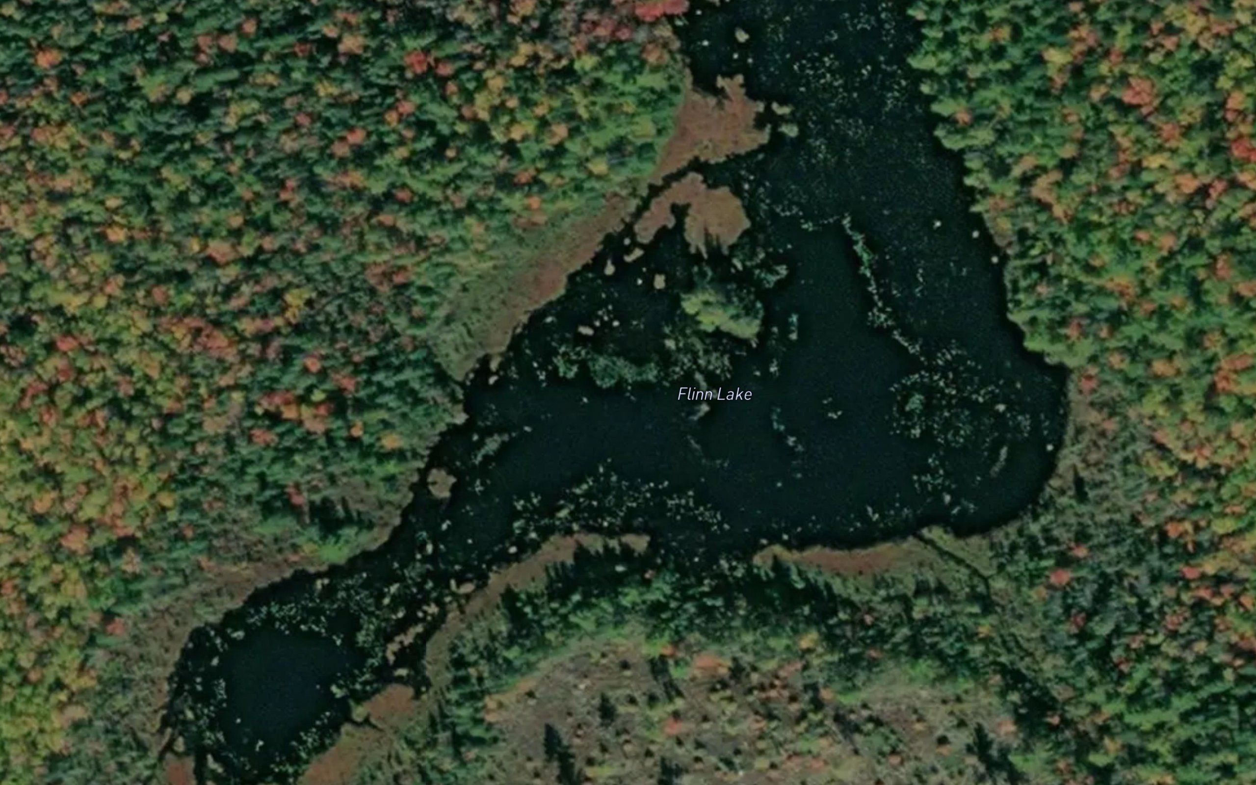 Flinn Lake