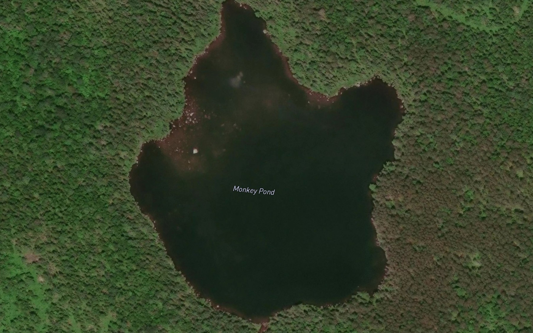 Satellite map of the Monkey Pond