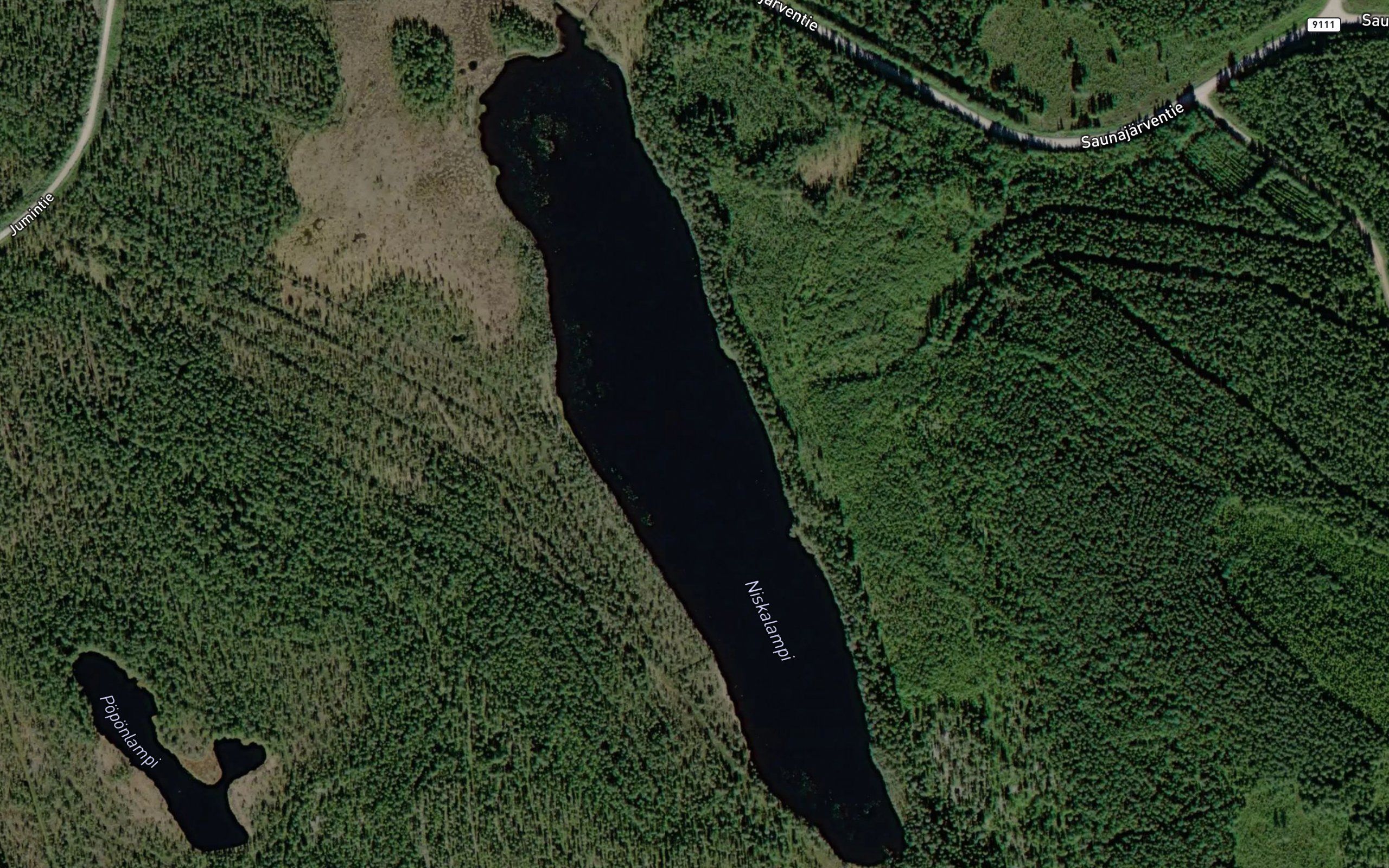 Niskalampi