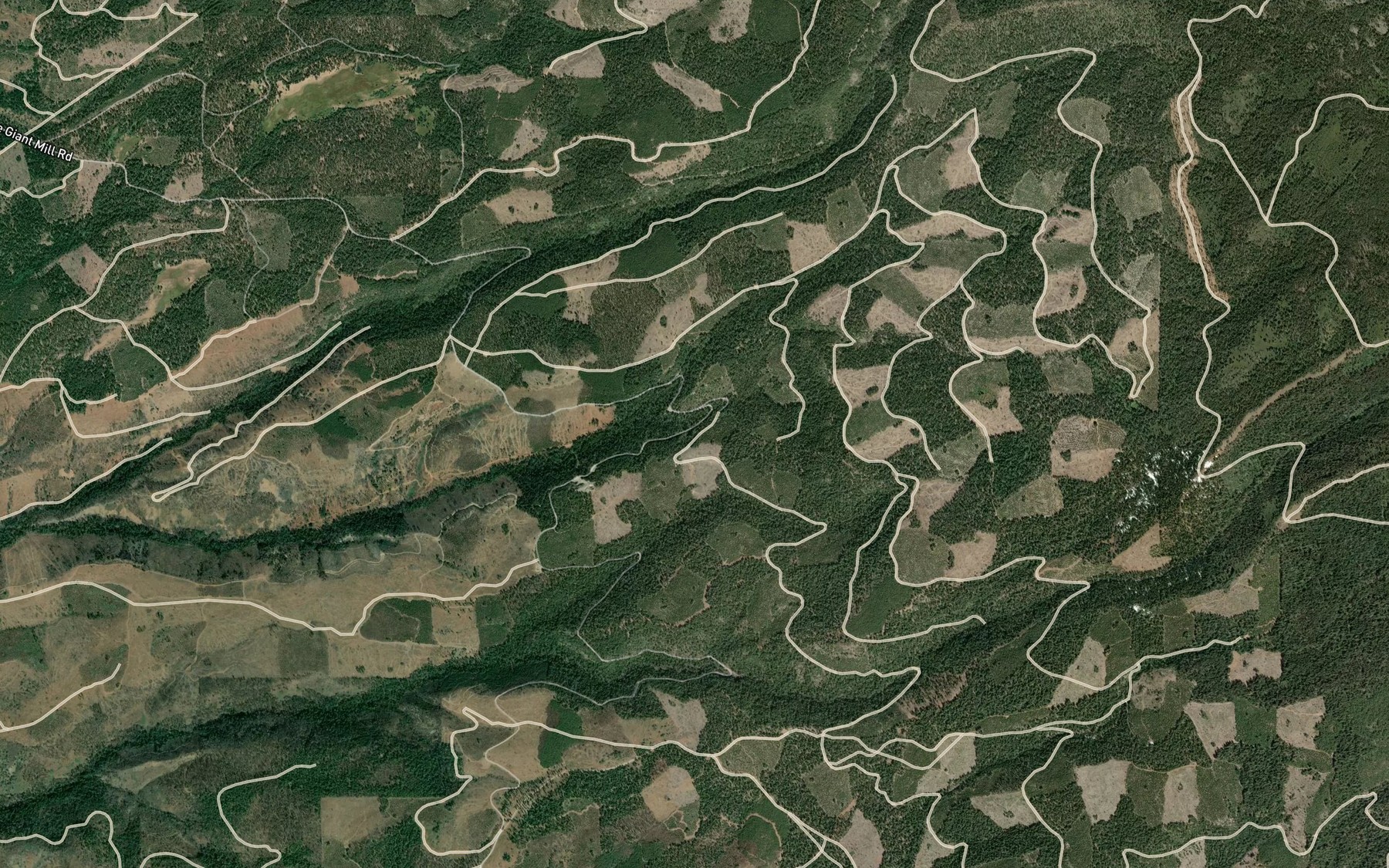 Satellite map of the Maidenhair Spring
