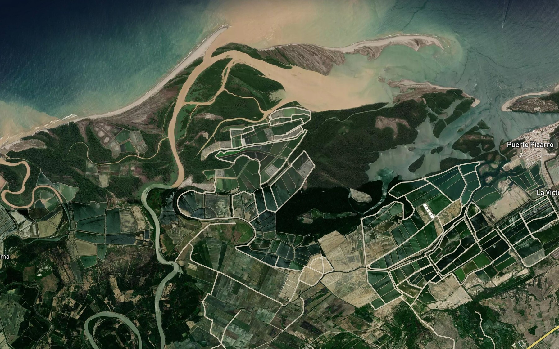 Satellite map of the Estero Rio Chico