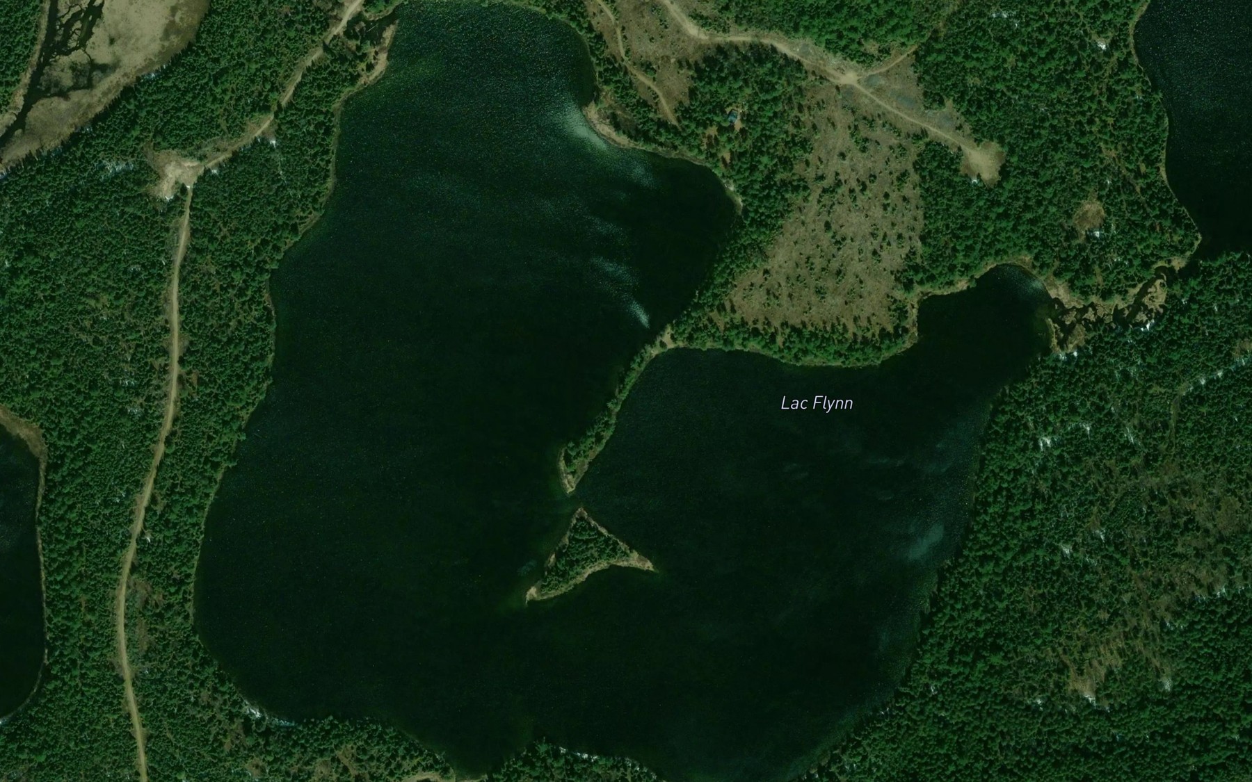 Satellite map of the Lac Flynn