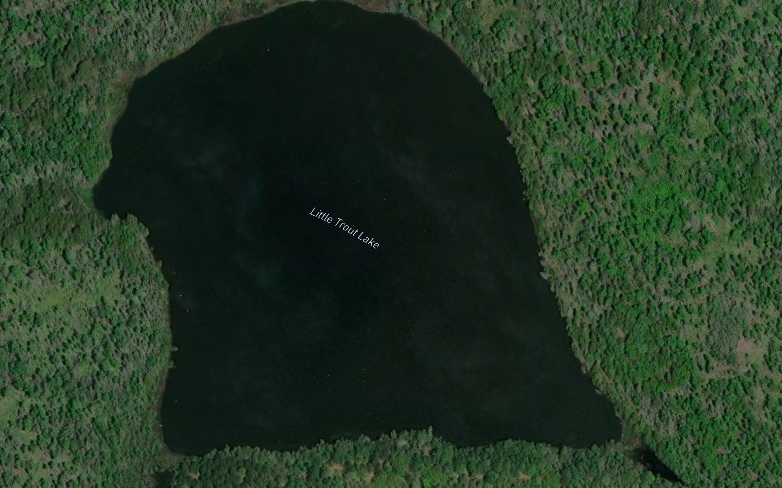 Little Trout Lake