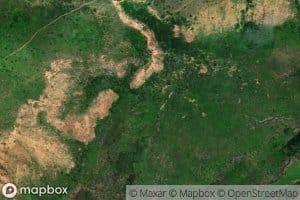 Morichal Las Colmenas