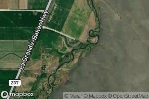 Little Creek