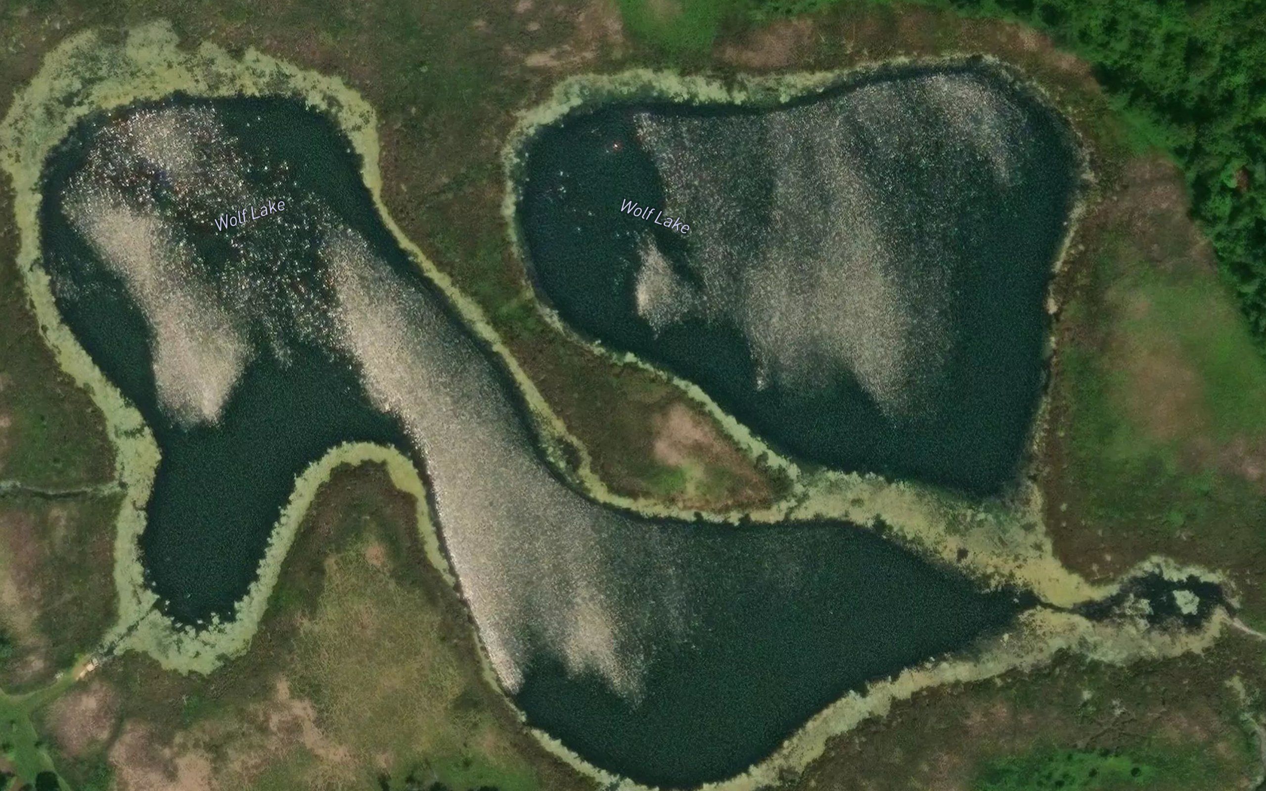 Wolf Lake