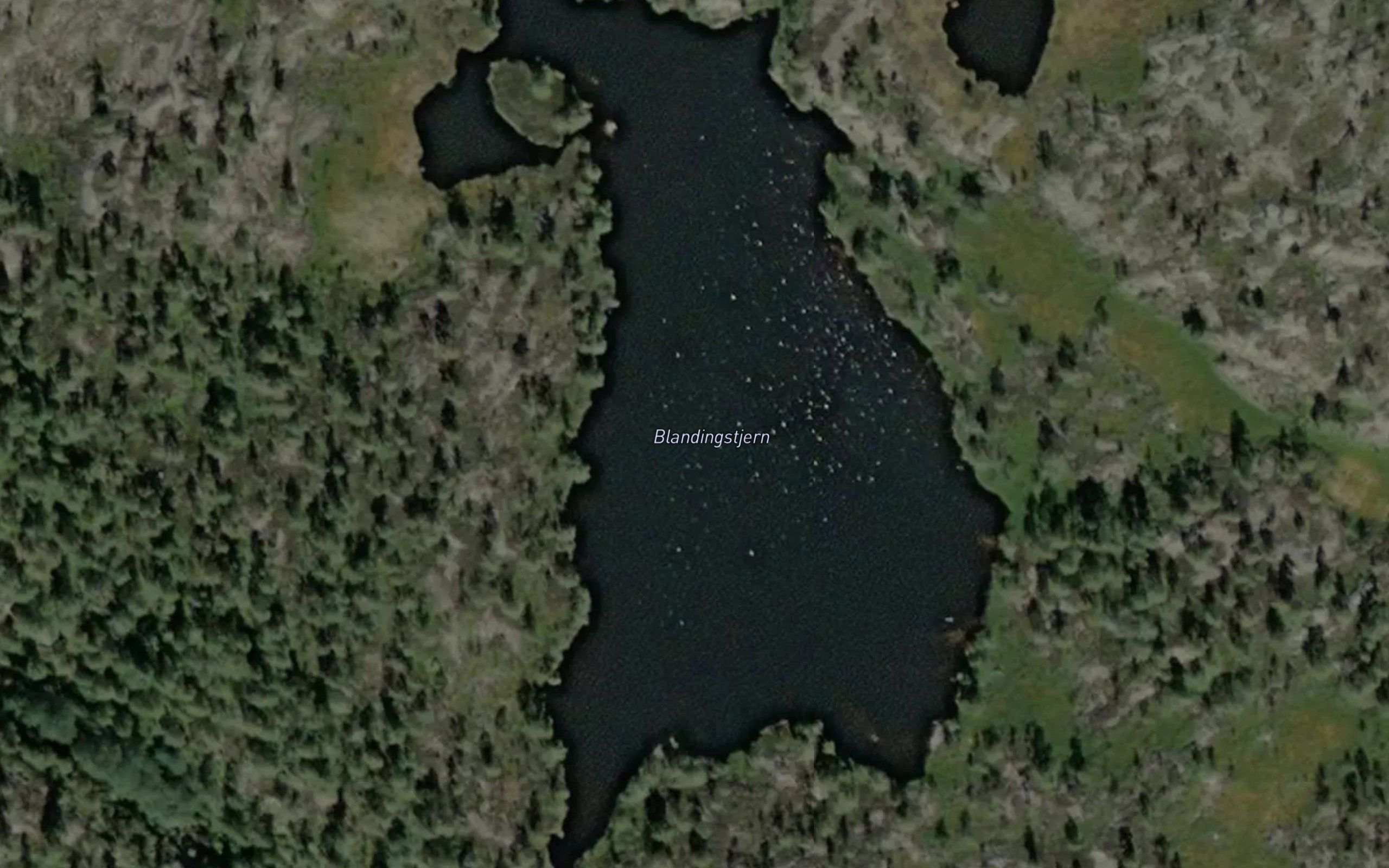 Blandingstjern