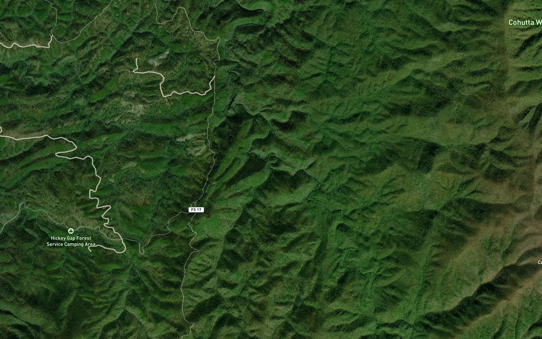Satellite map of the Rough Creek