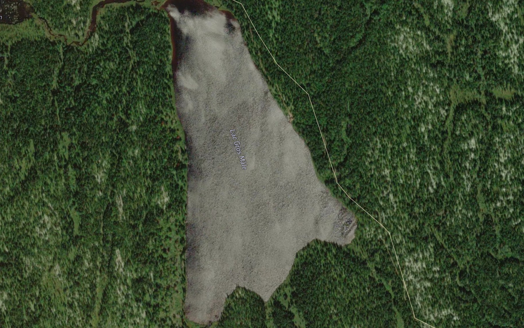 Satellite map of the Lac Gros Male