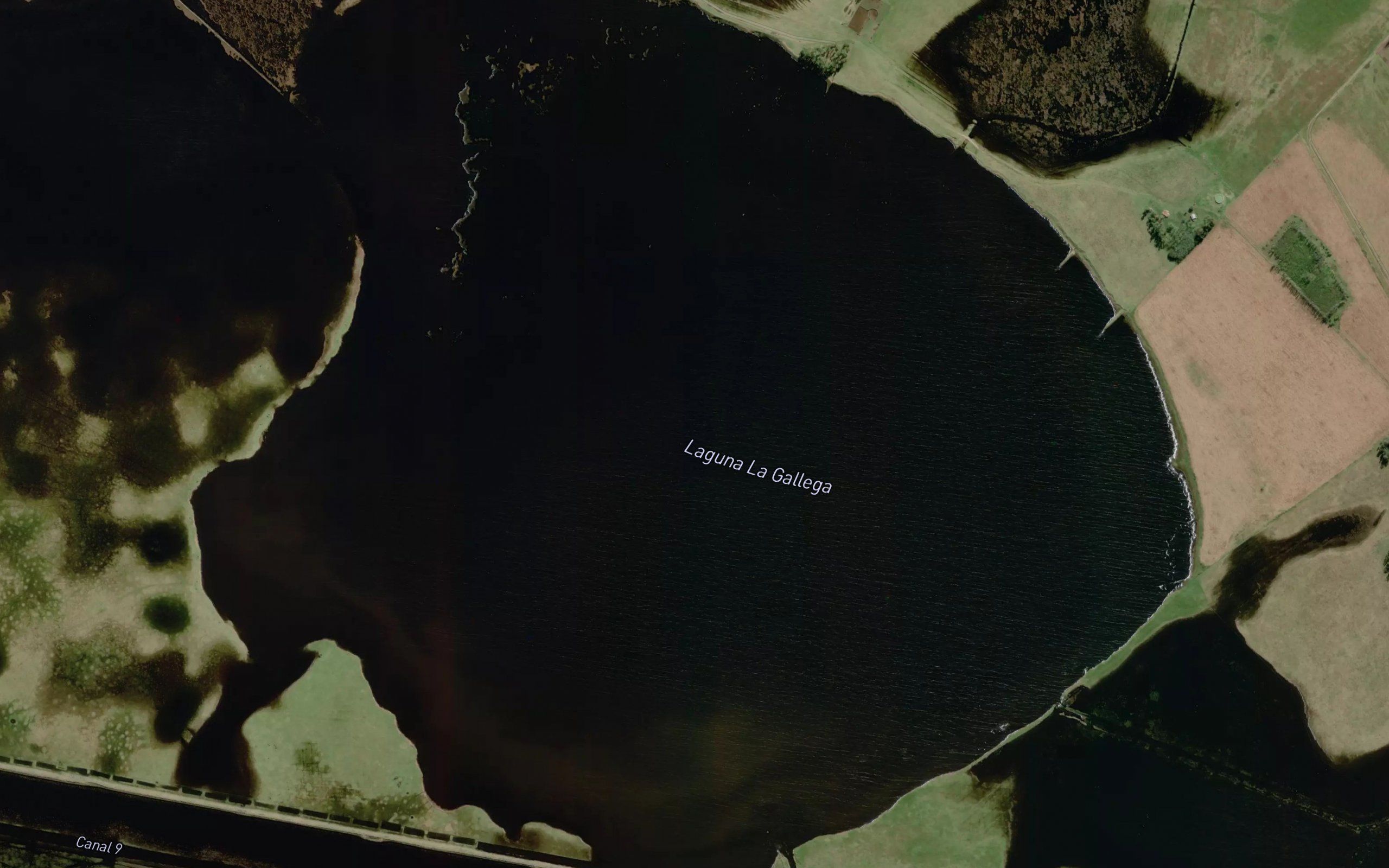 Laguna La Gallega