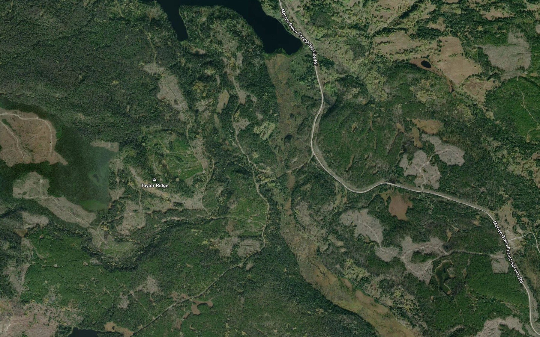 Satellite map of the Riddeck Creek