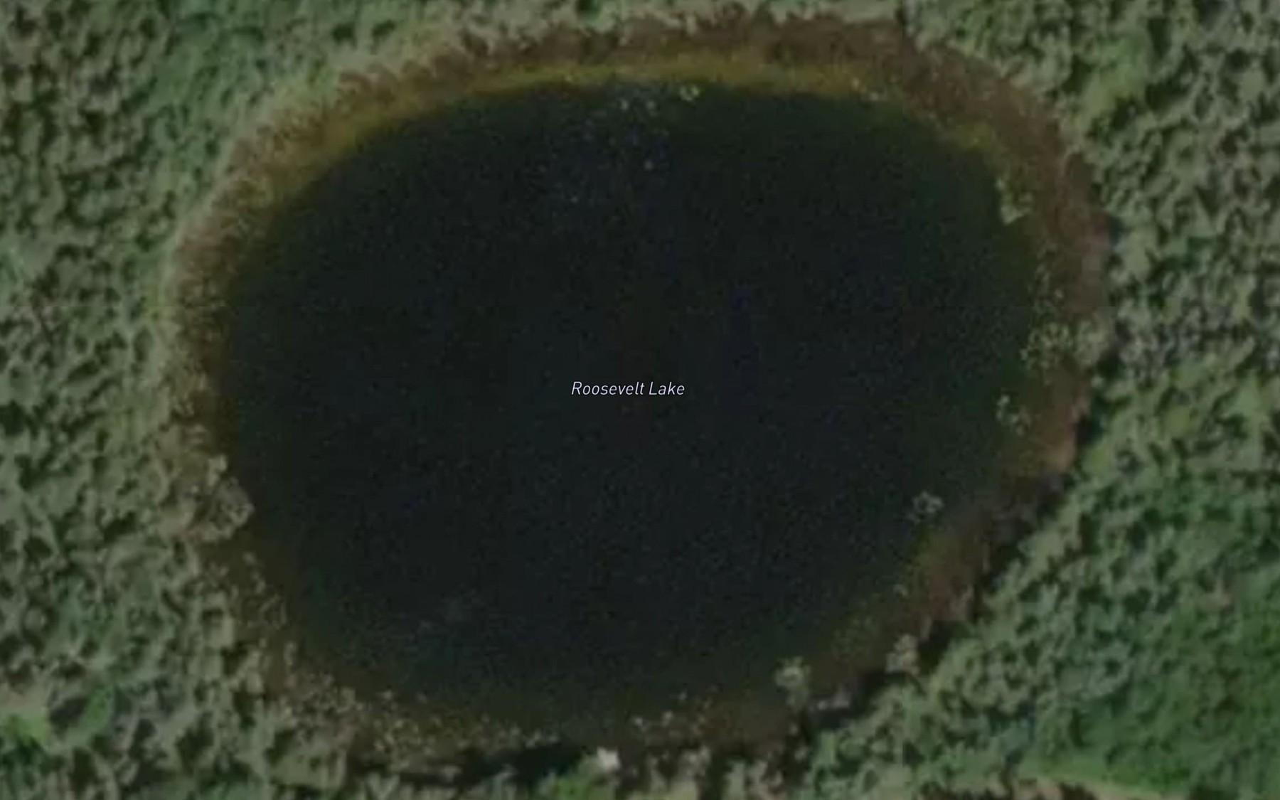 Satellite map of the Roosevelt Lake
