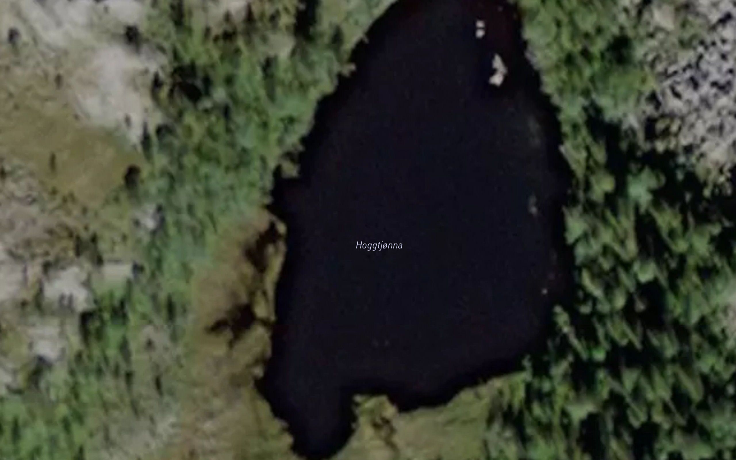Hoggtjorna