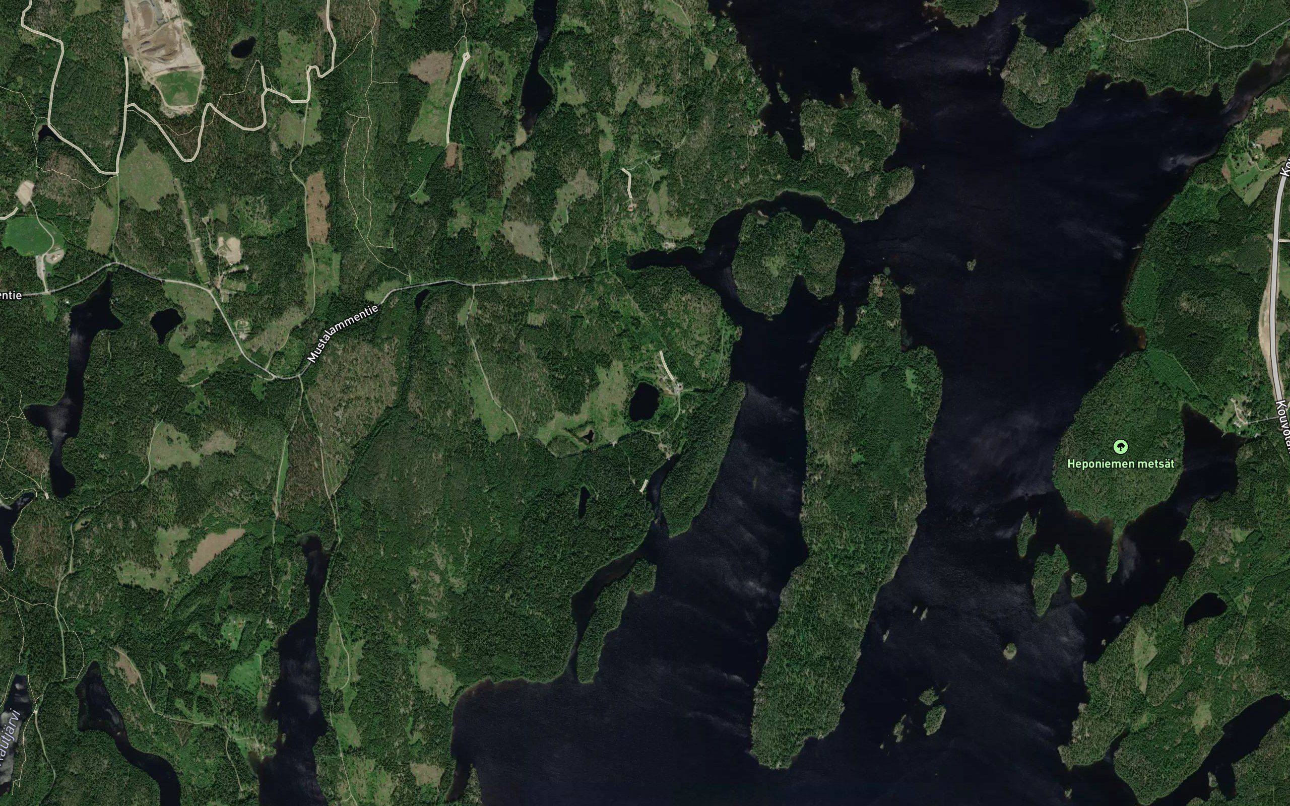 Mataralampi