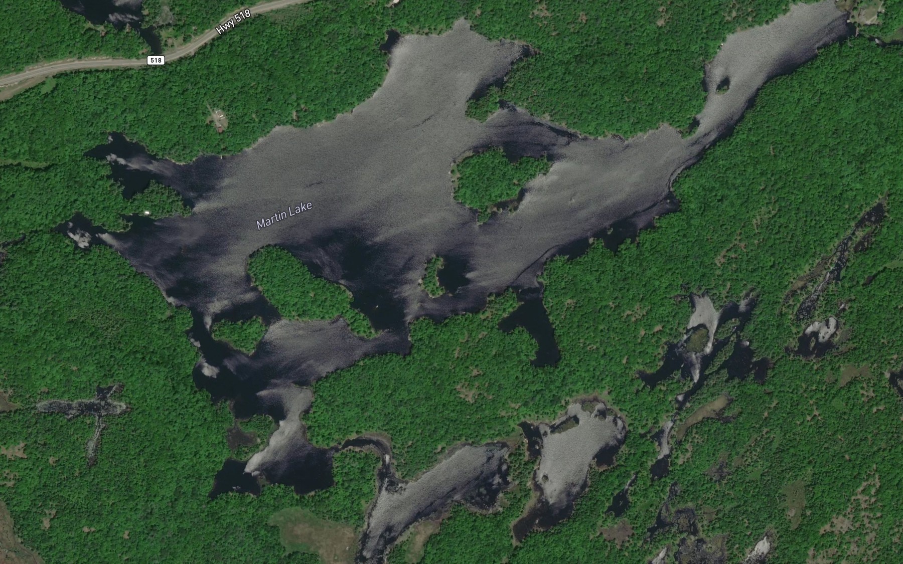Satellite map of the Martin Lake