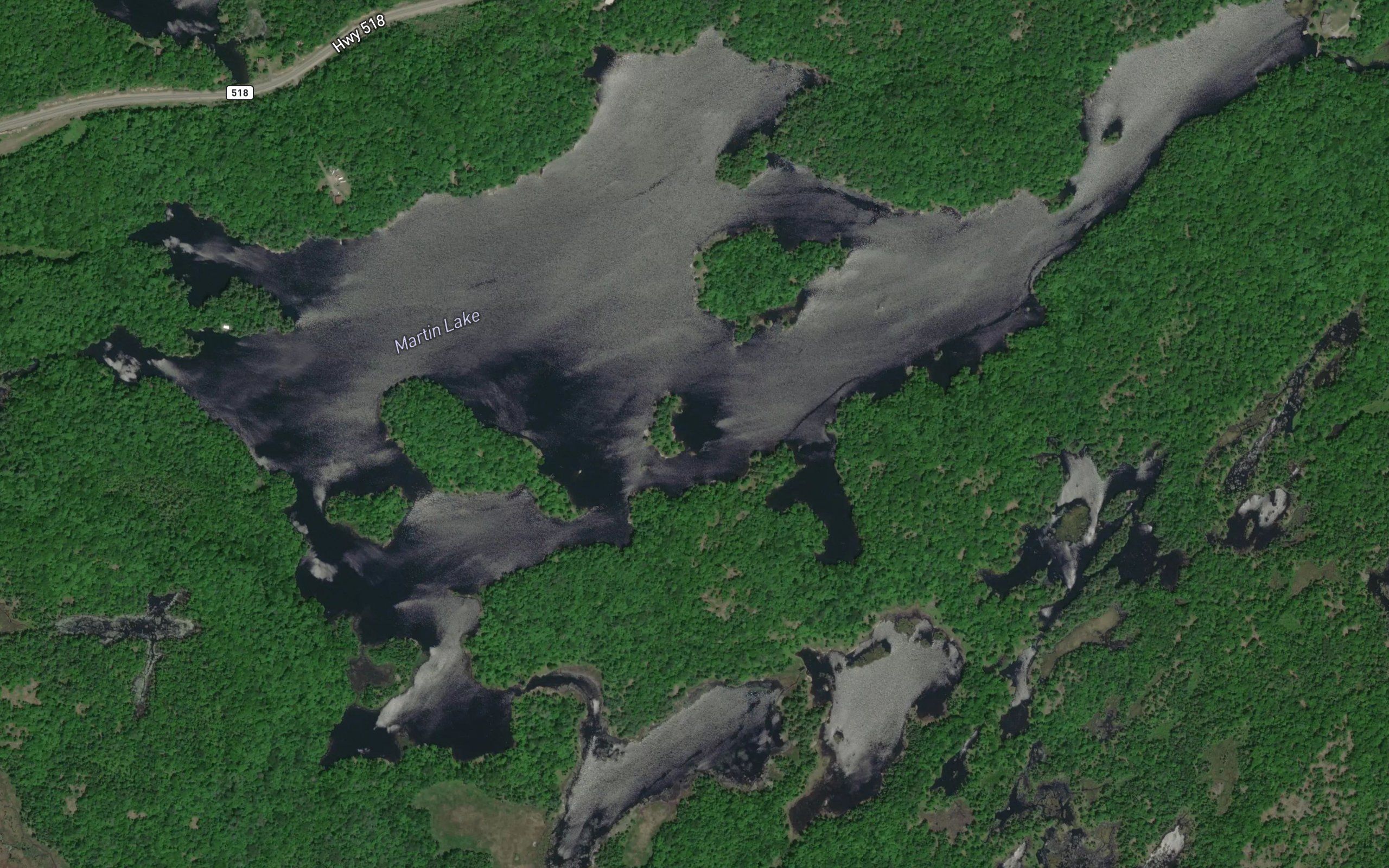 Martin Lake