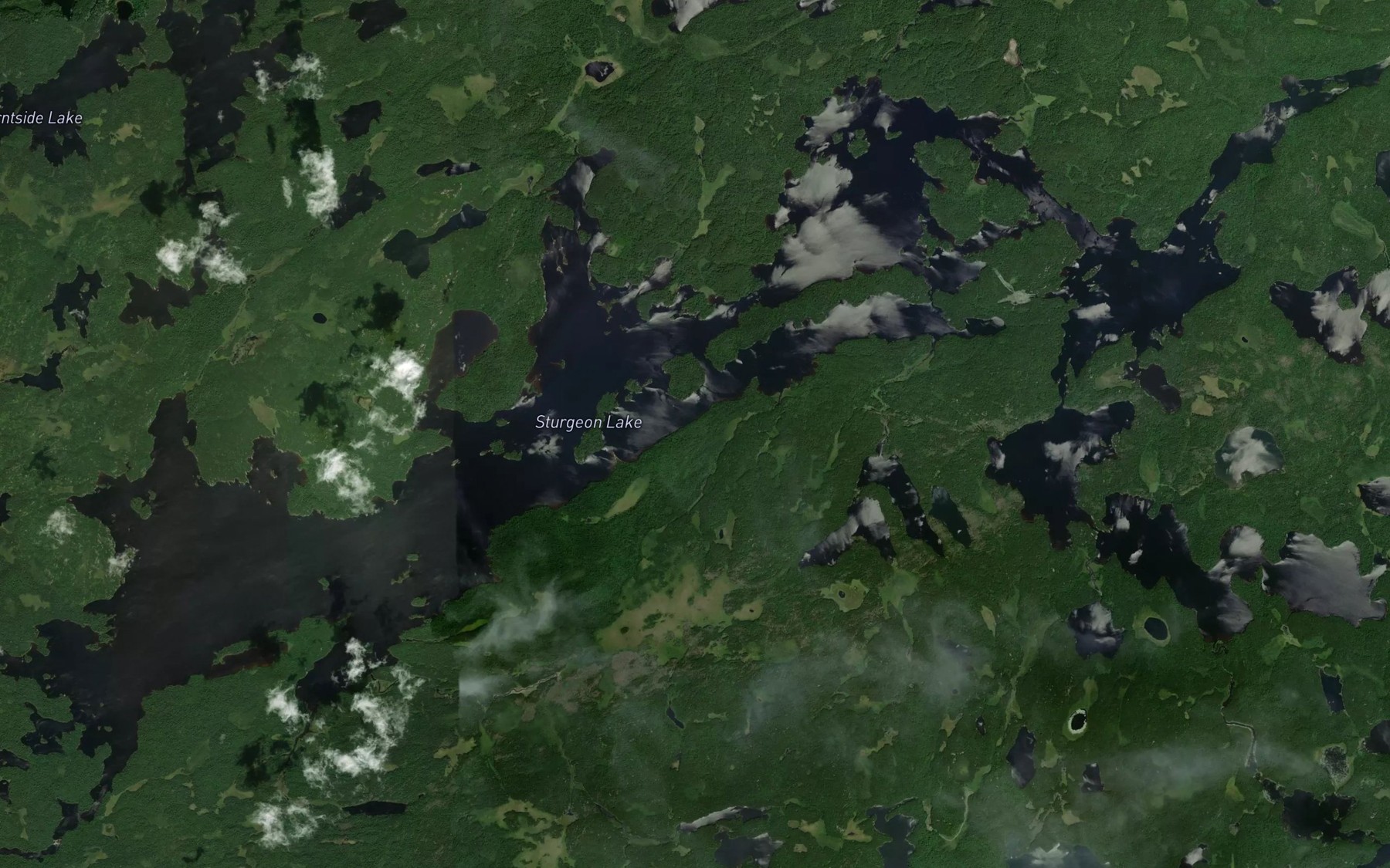 Satellite map of the Sturgeon Lake