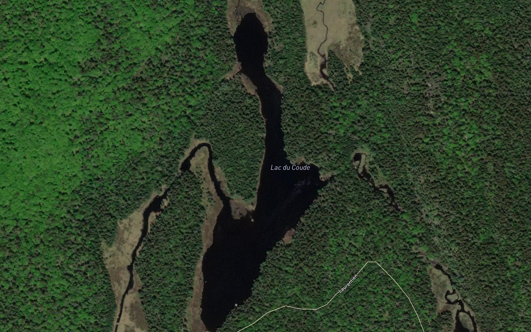Satellite map of the Lac du Coude