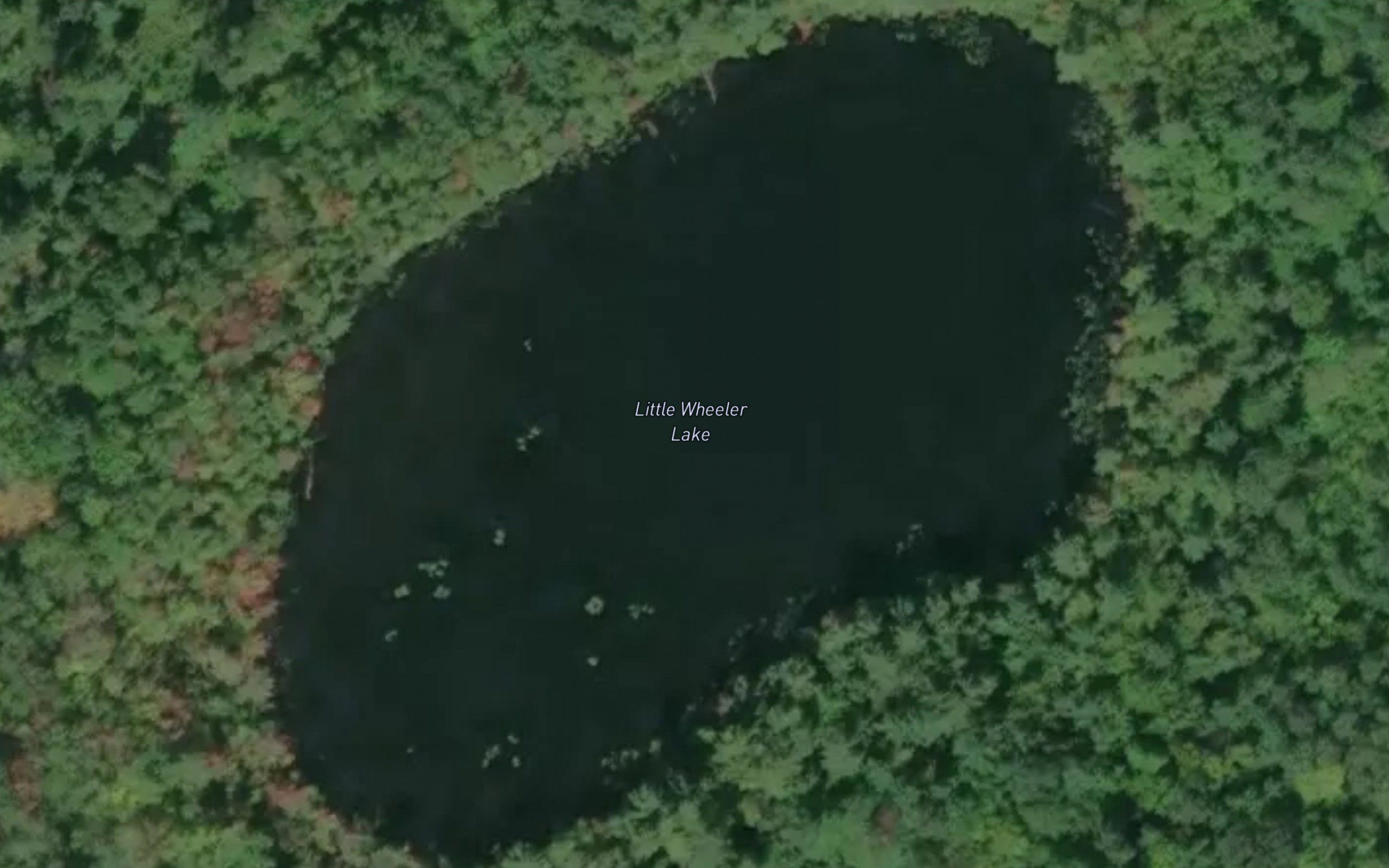 Little Wheeler Lake