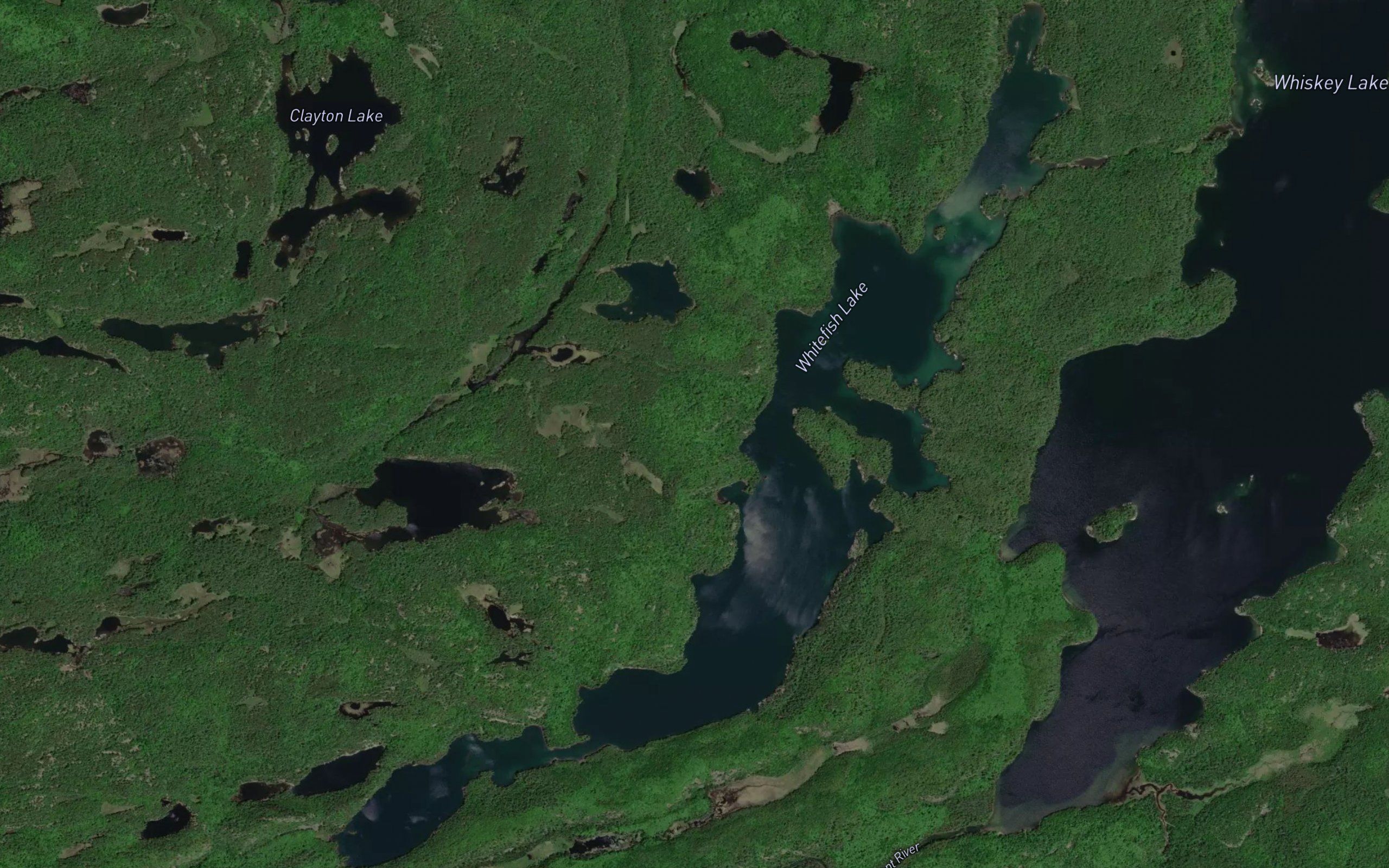 Whitefish Lake