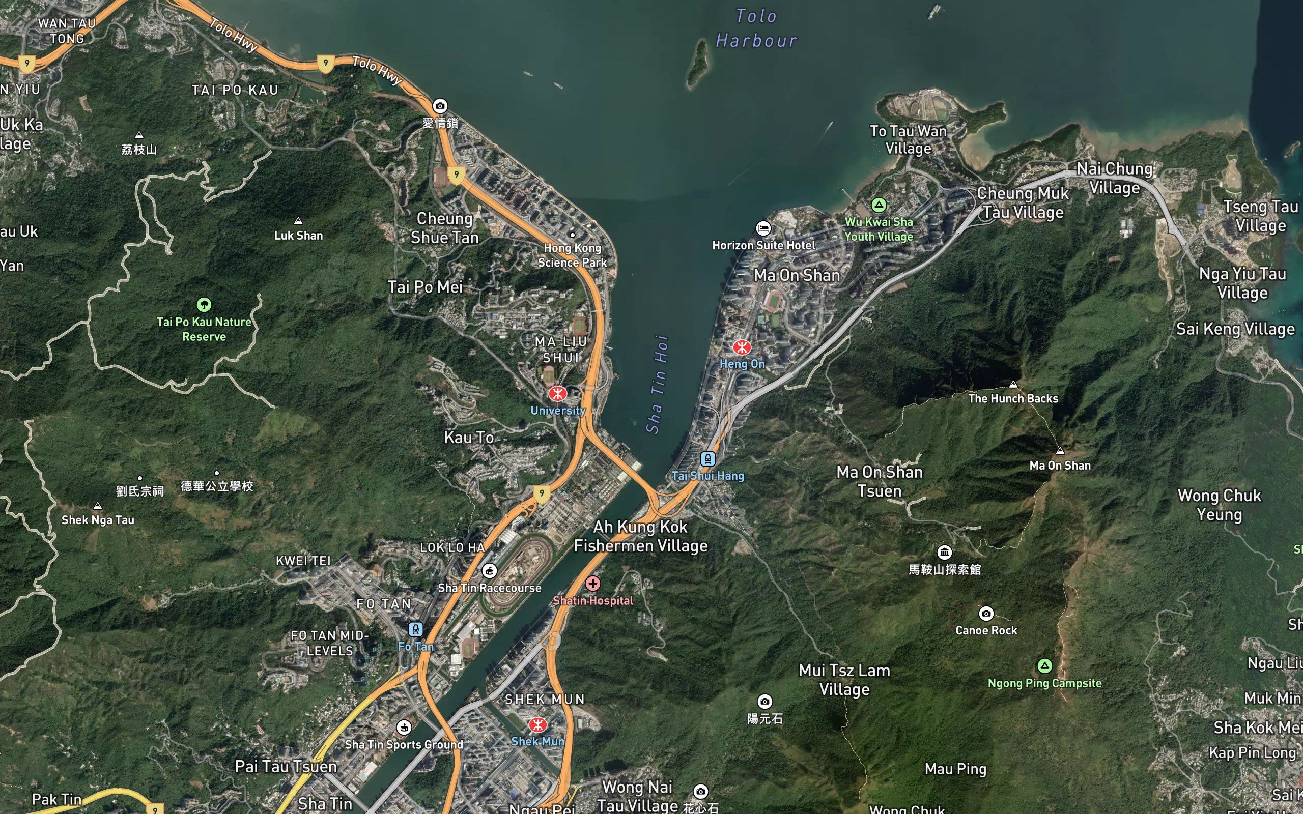 Sha Tin Hoi