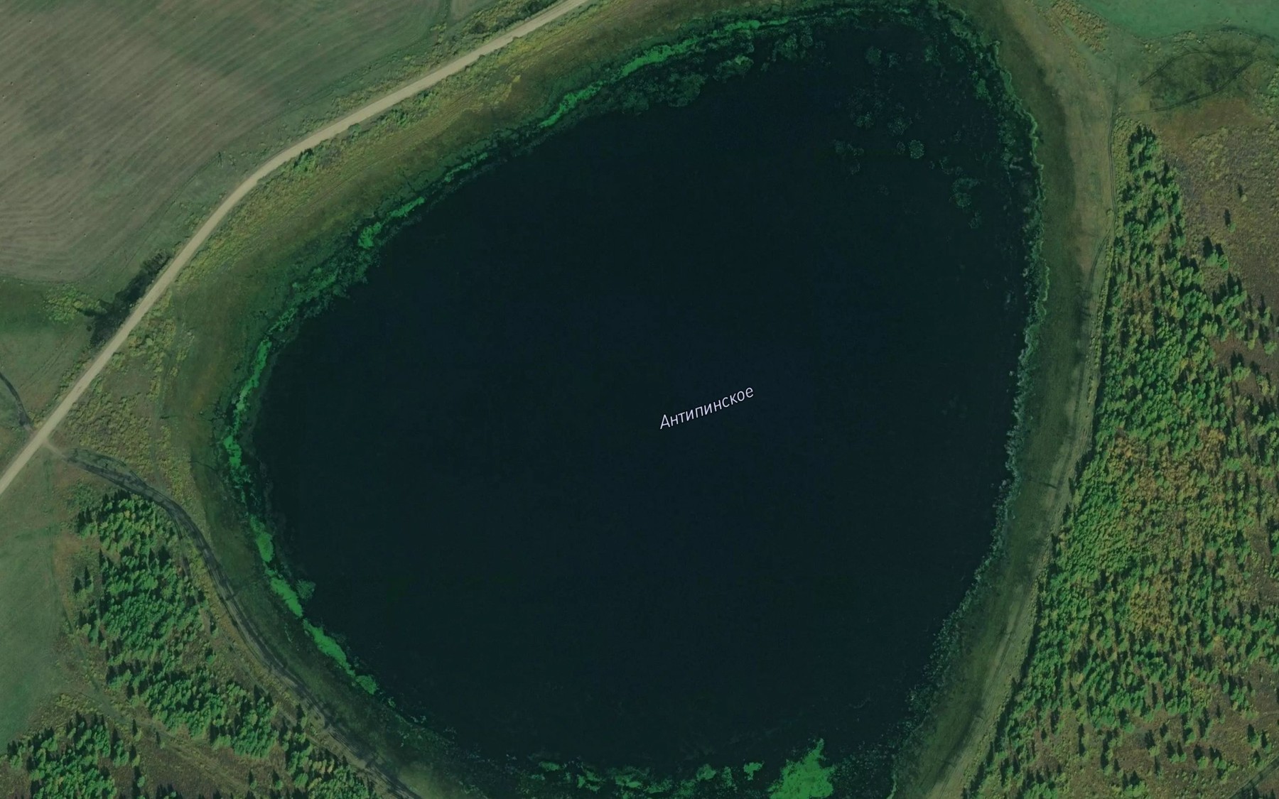Satellite map of the Ozero Antipinskoye