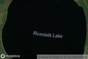 Ricestalk Lake
