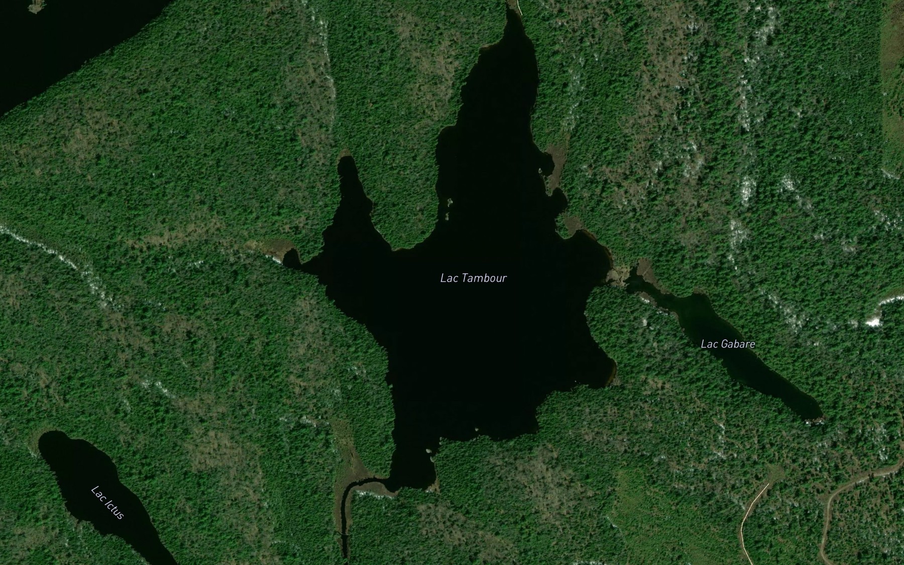 Satellite map of the Lac Tambour