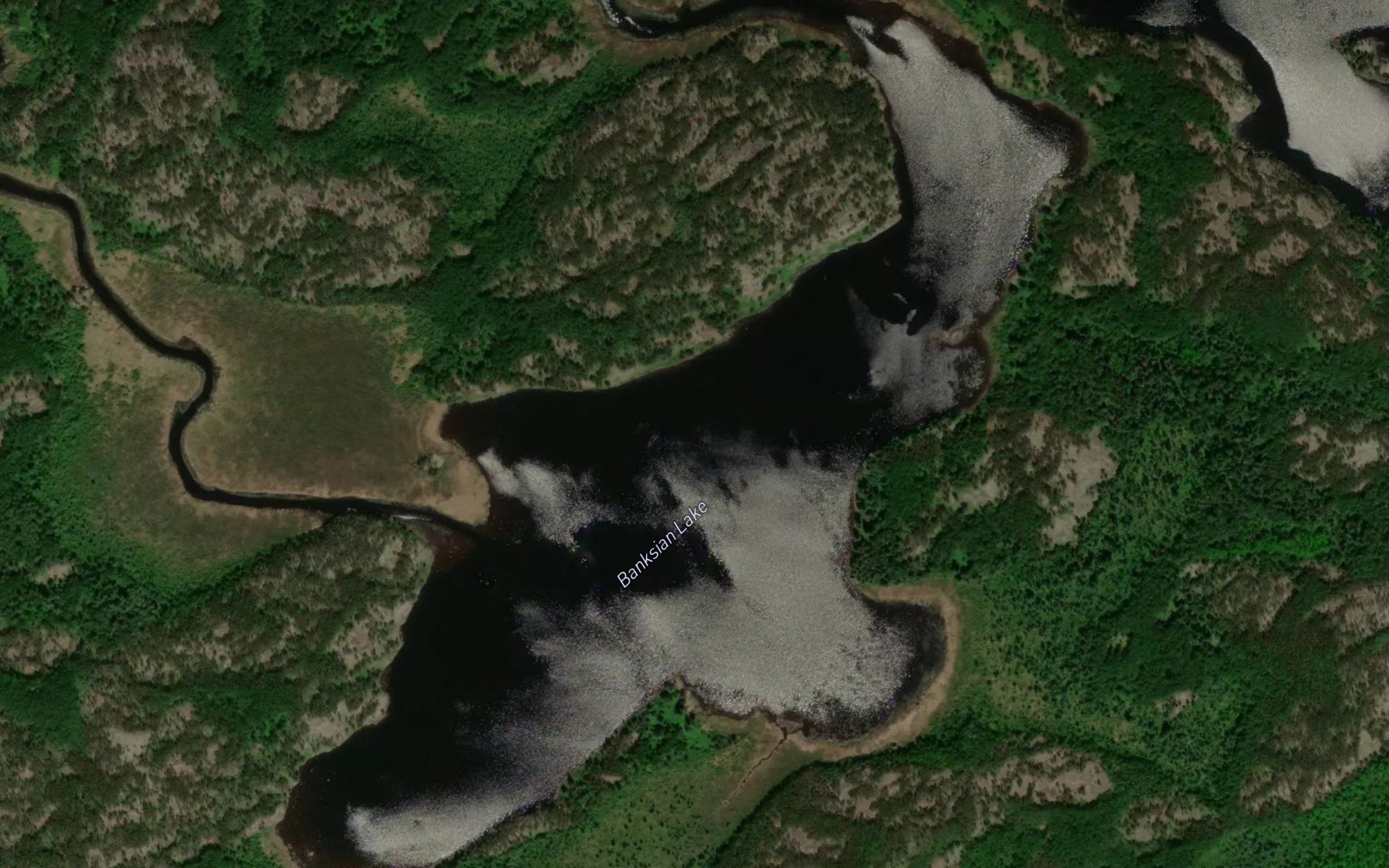 Banksian Lake