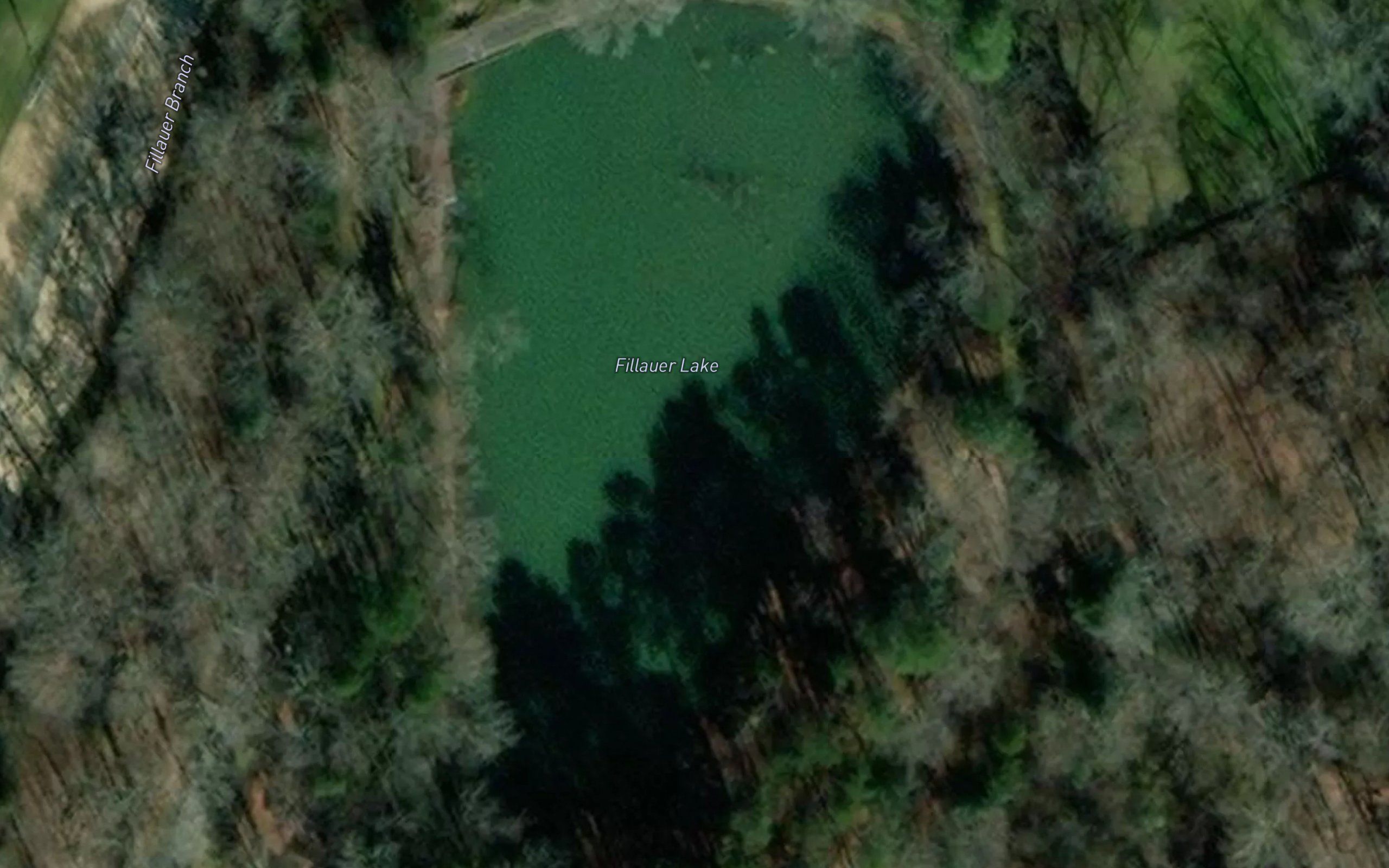 Fillauer Lake