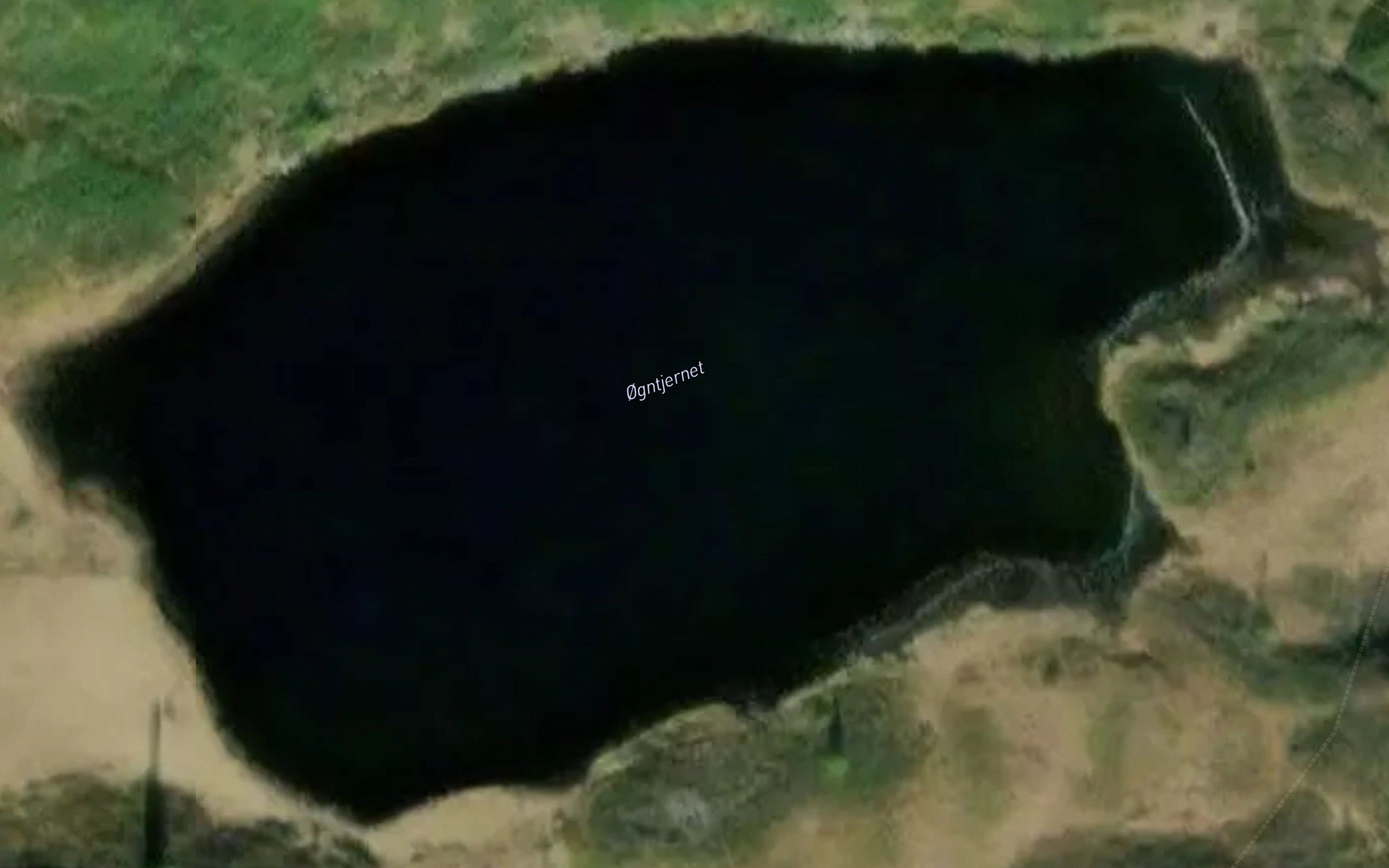 Ogntjednet