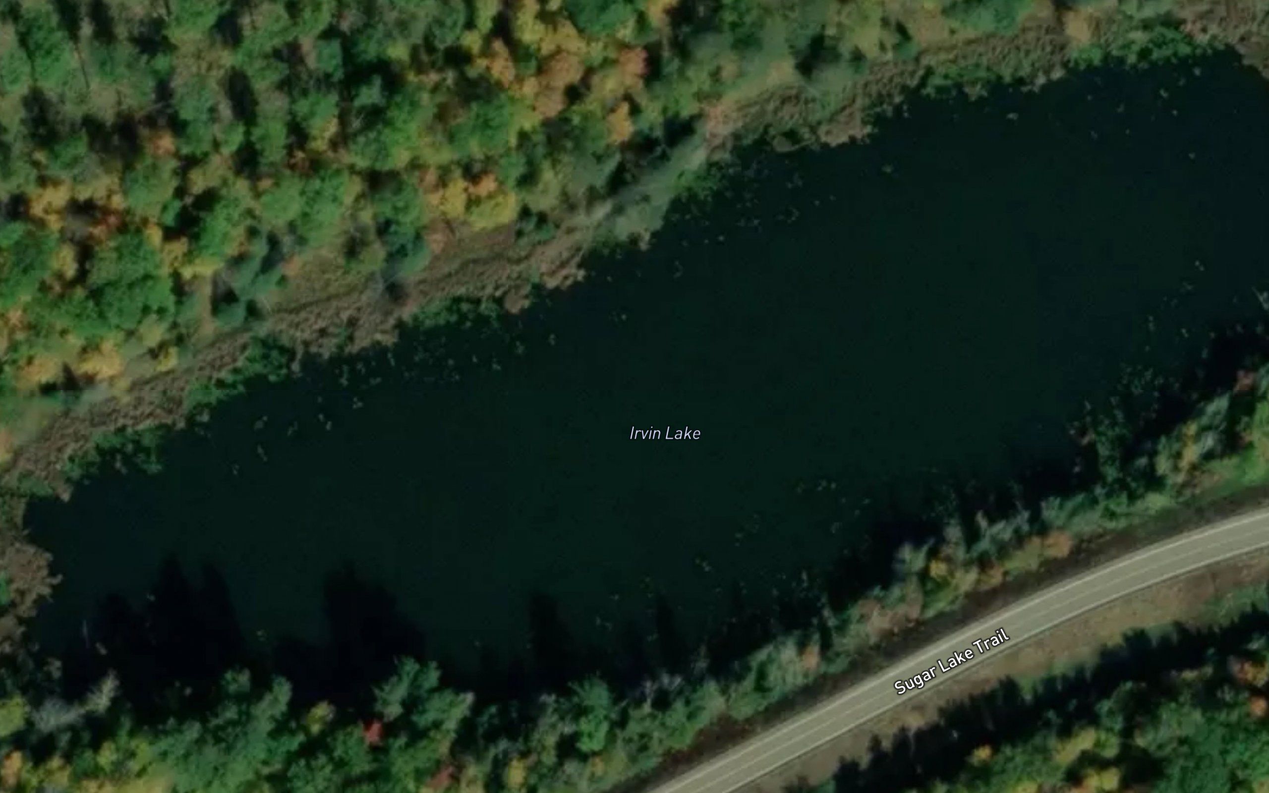Irvin Lake