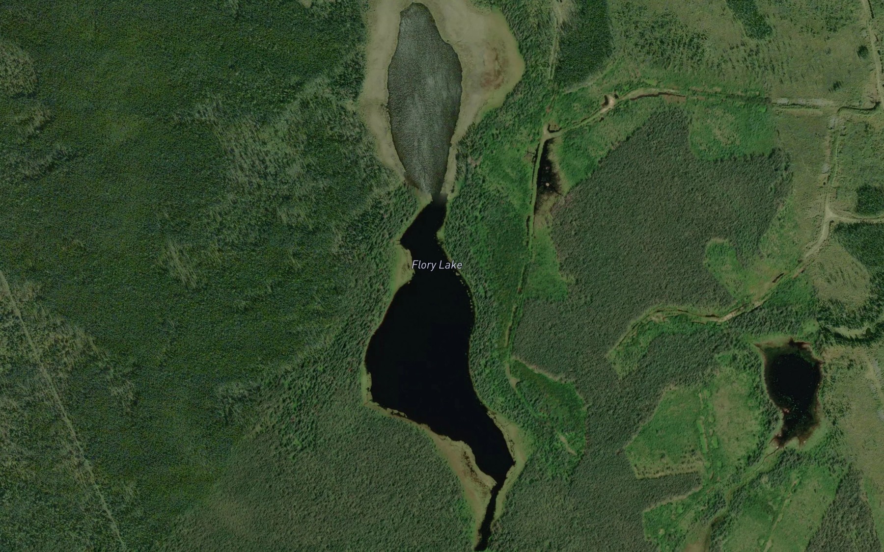 Satellite map of the Flory Lake