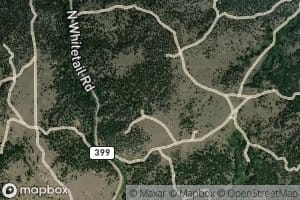 05N04W16DCA_01 Spring