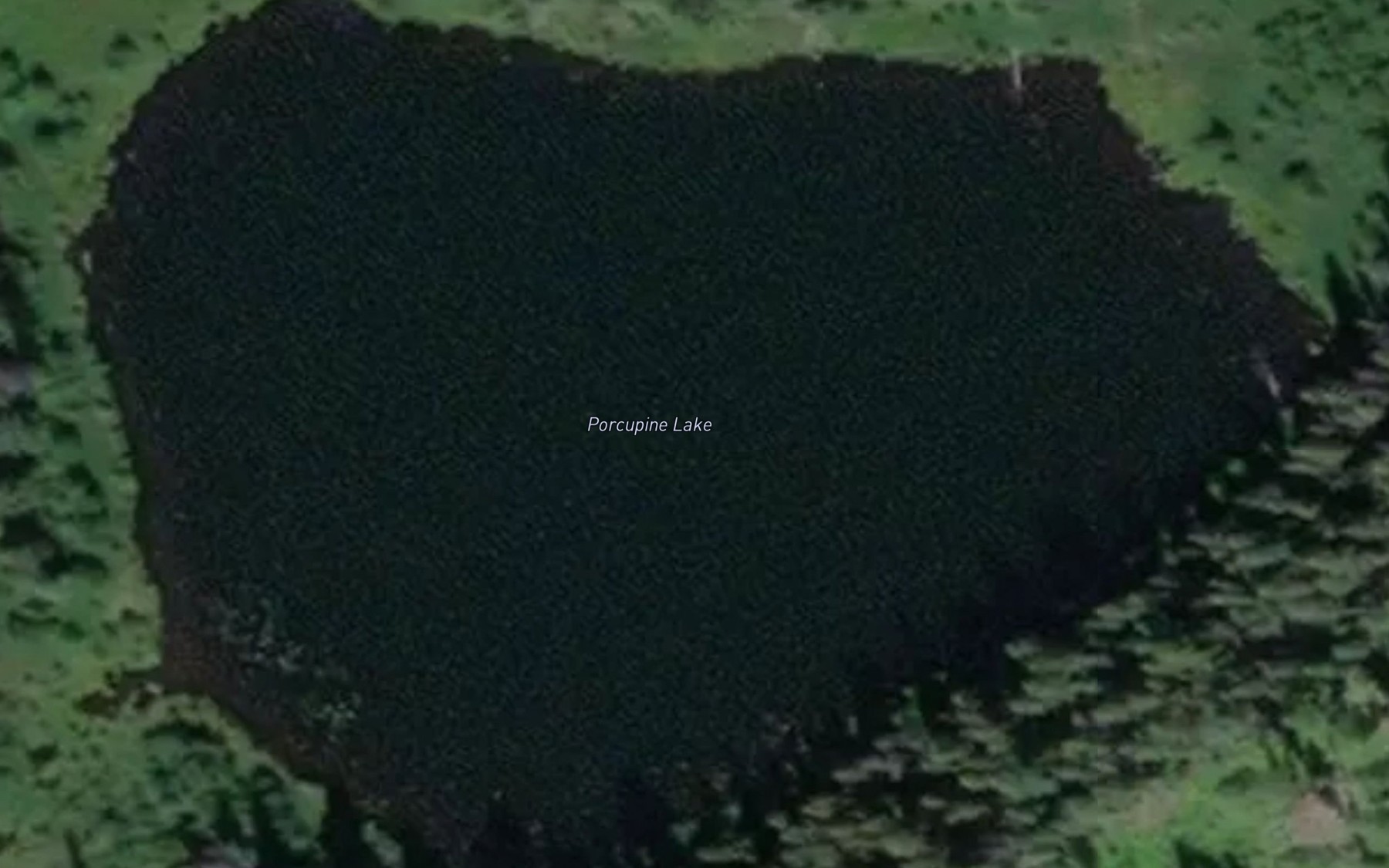 Satellite map of the Porcupine Lake