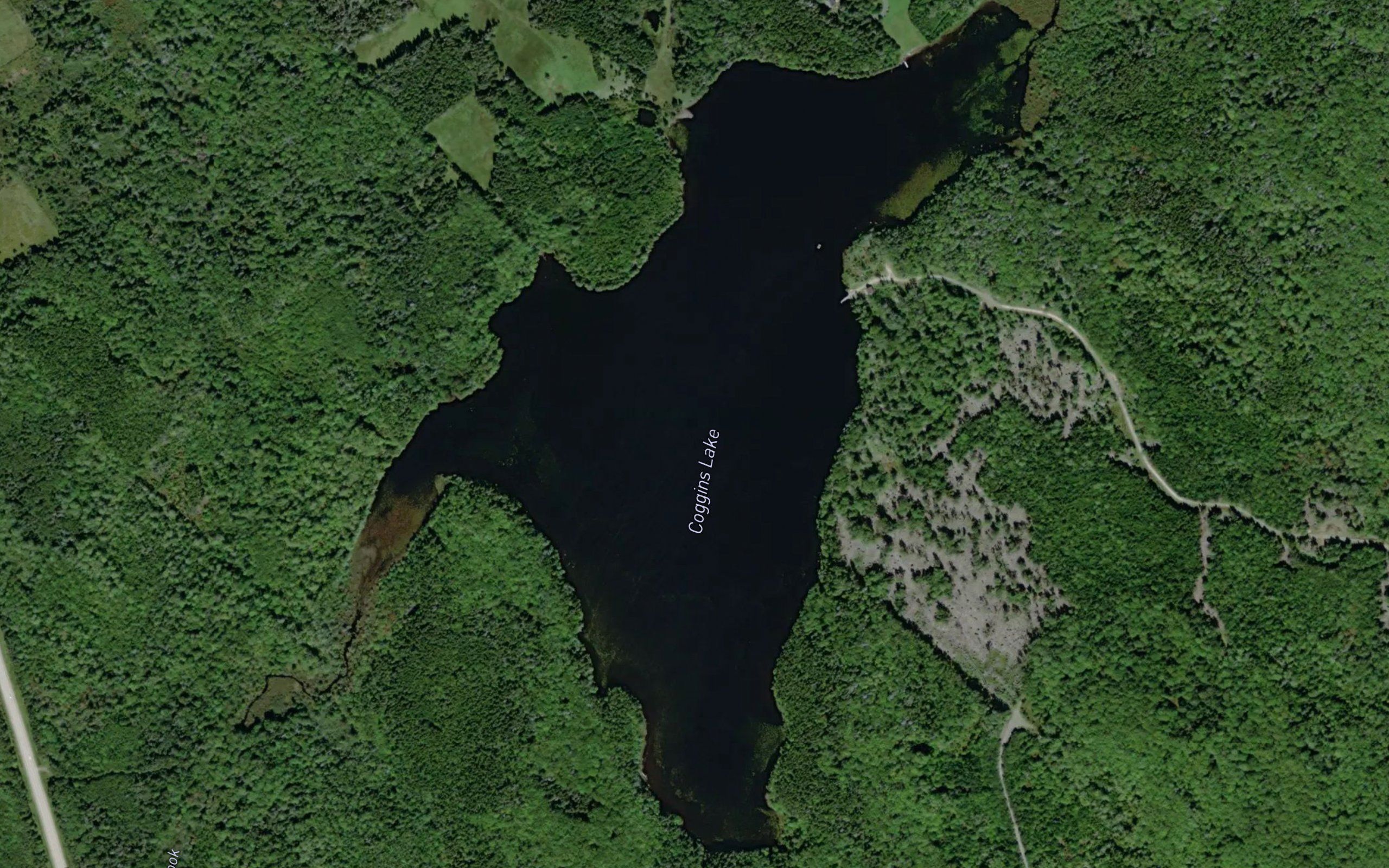 Coggins Lake