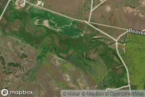 Cottonwood Creek