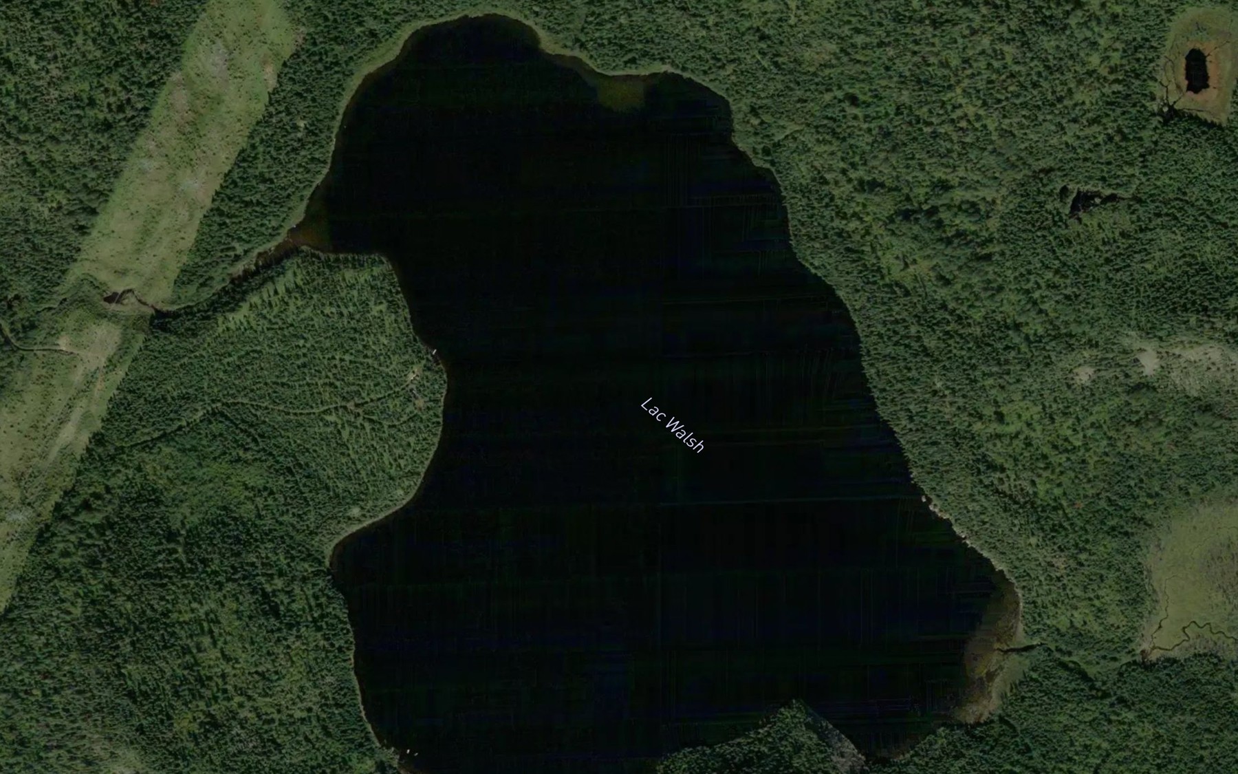 Satellite map of the Lac Walsh