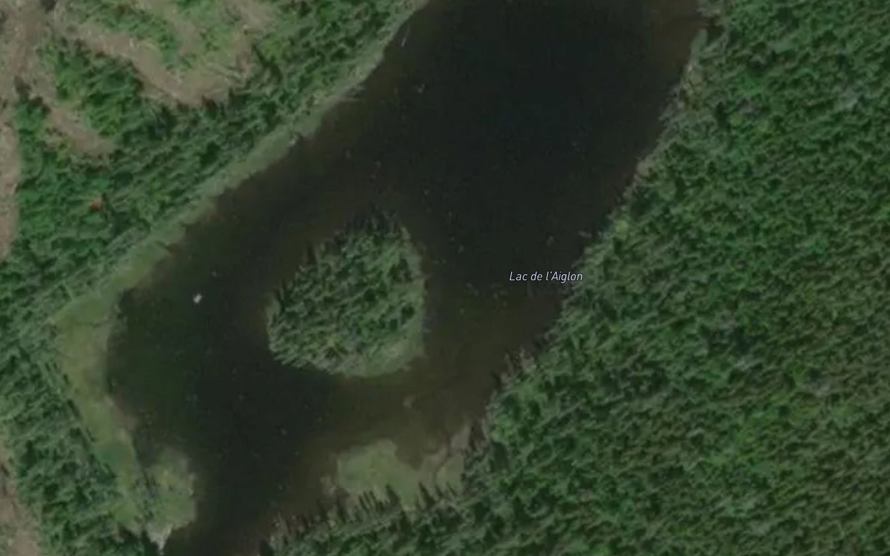 Satellite map of the Lac de l'Aiglon