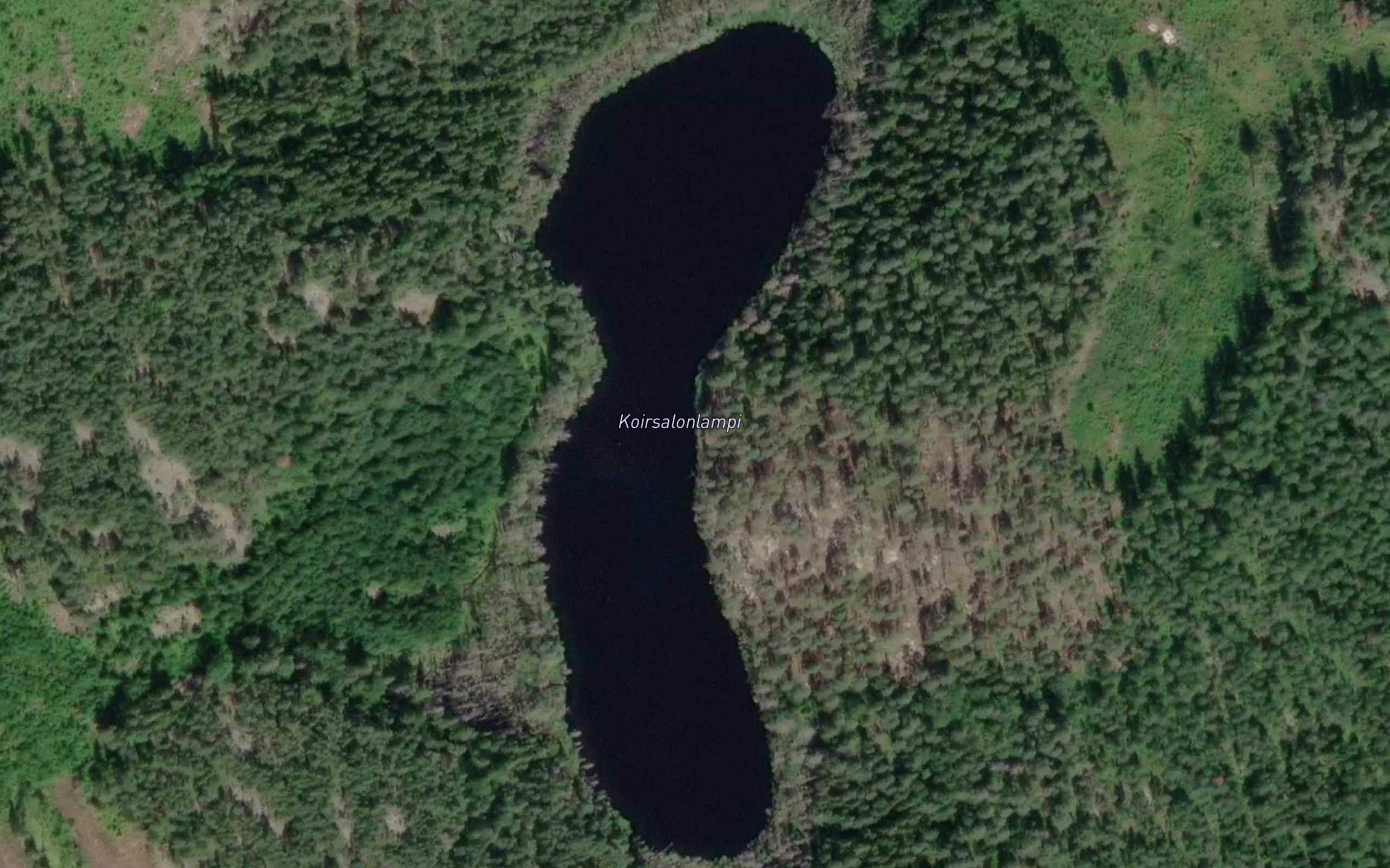 Koirsalonlampi