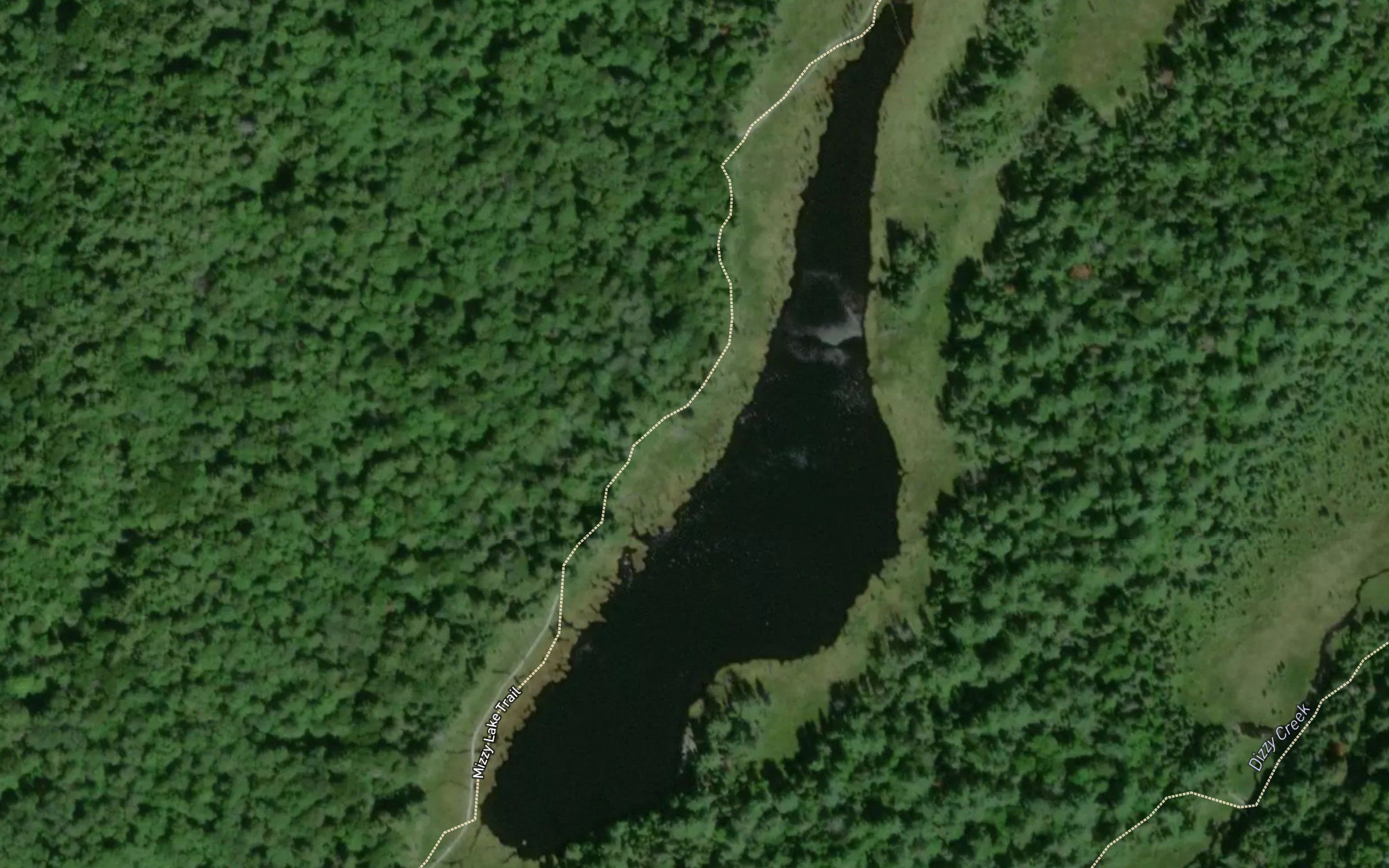 Dizzy Lake