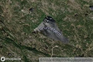 Grunnetjorn