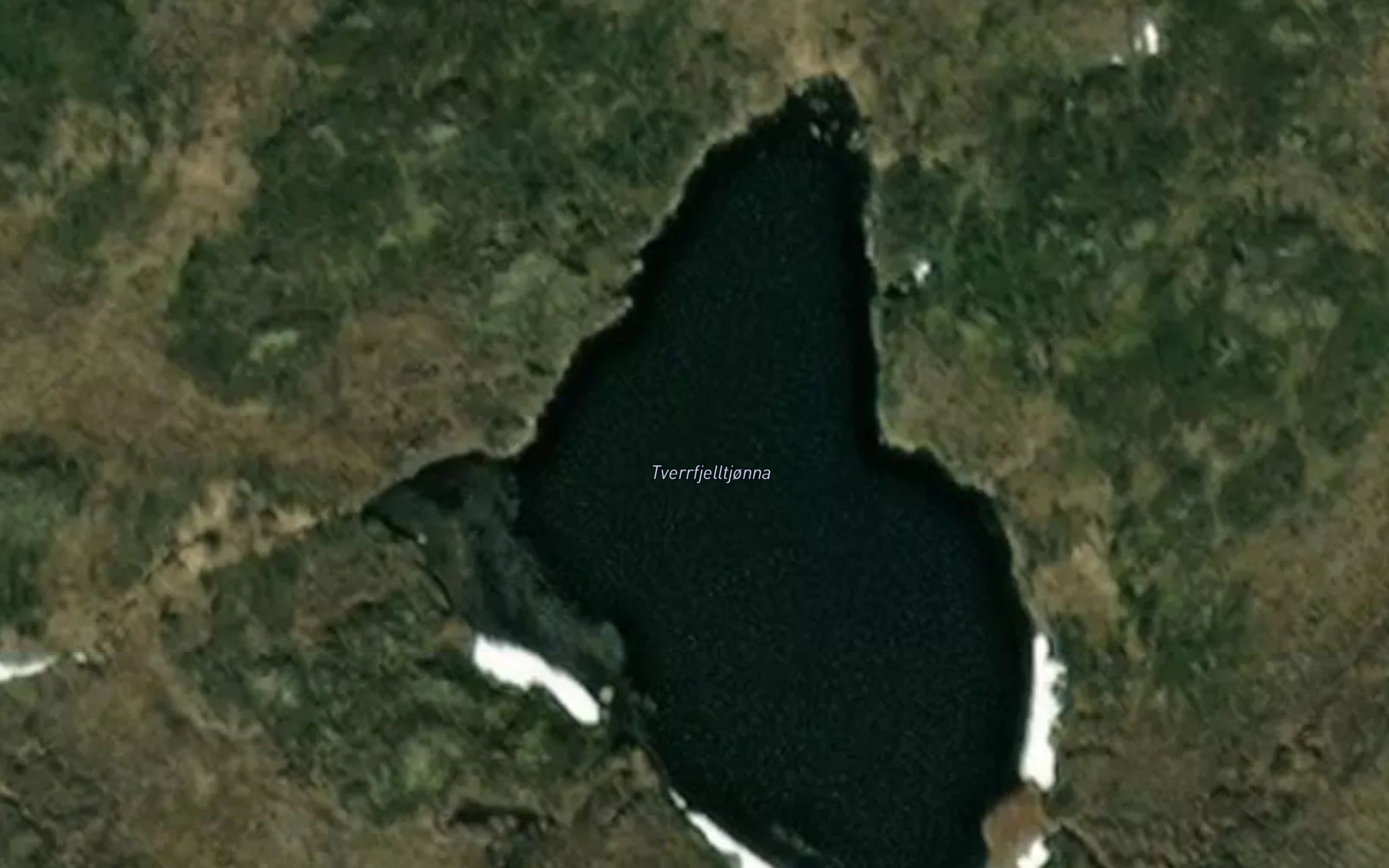 Tverrfjelltjonna
