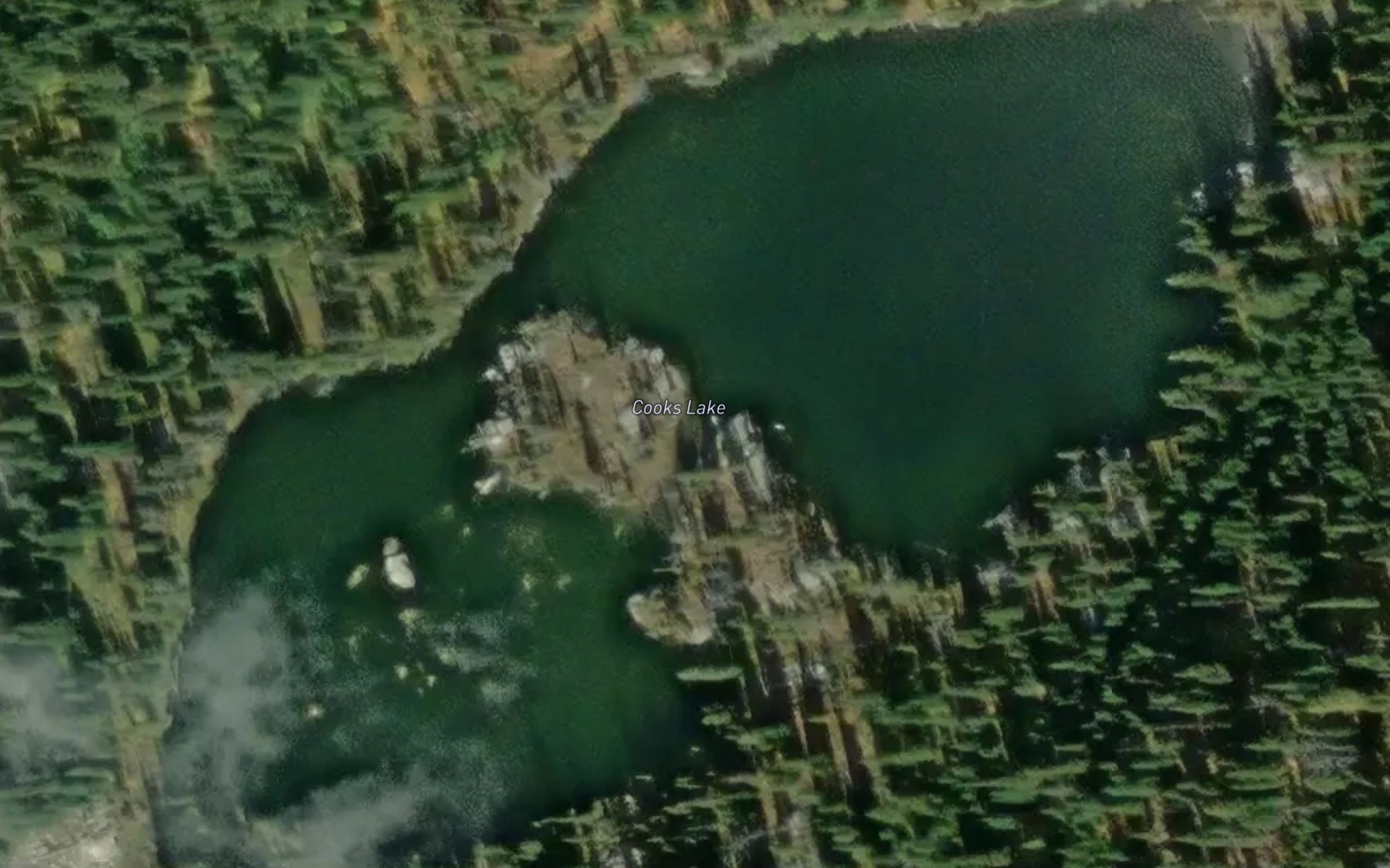 Satellite map of the Cooks Lake