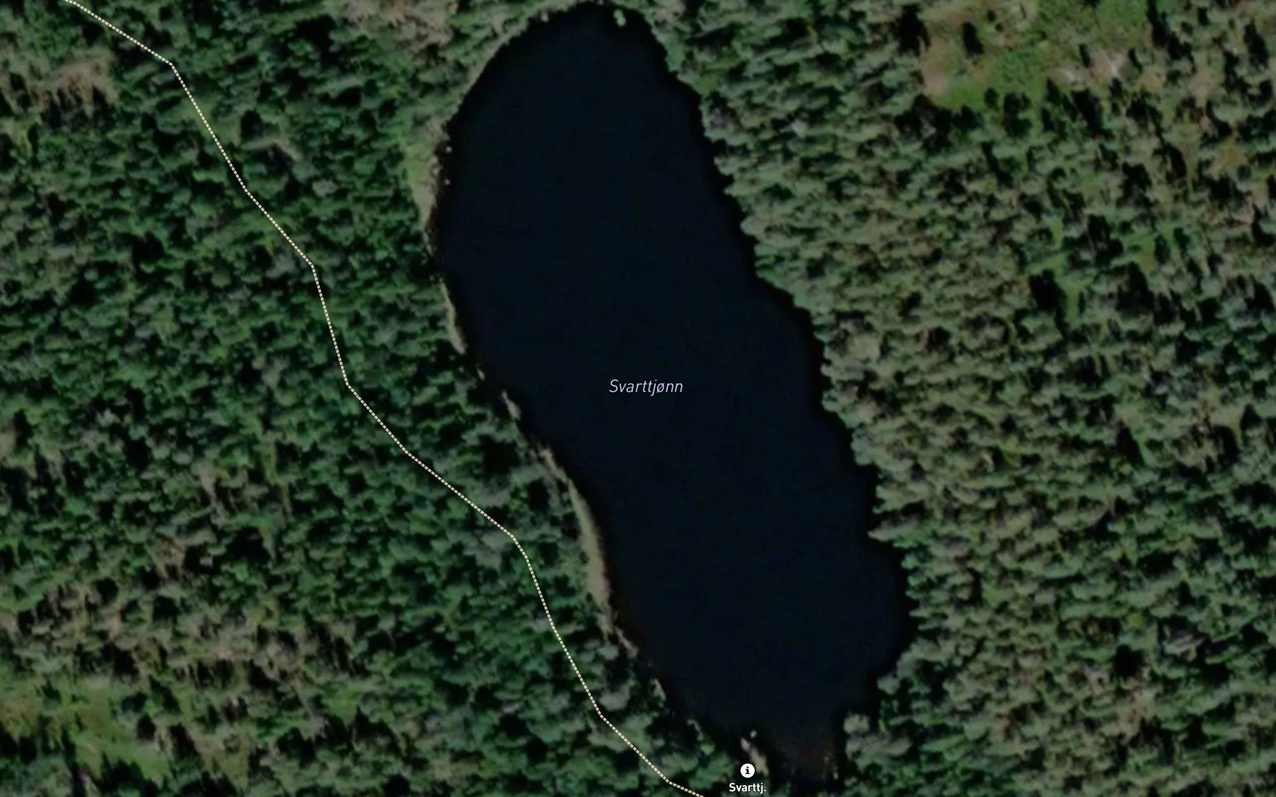 Svarttjonn