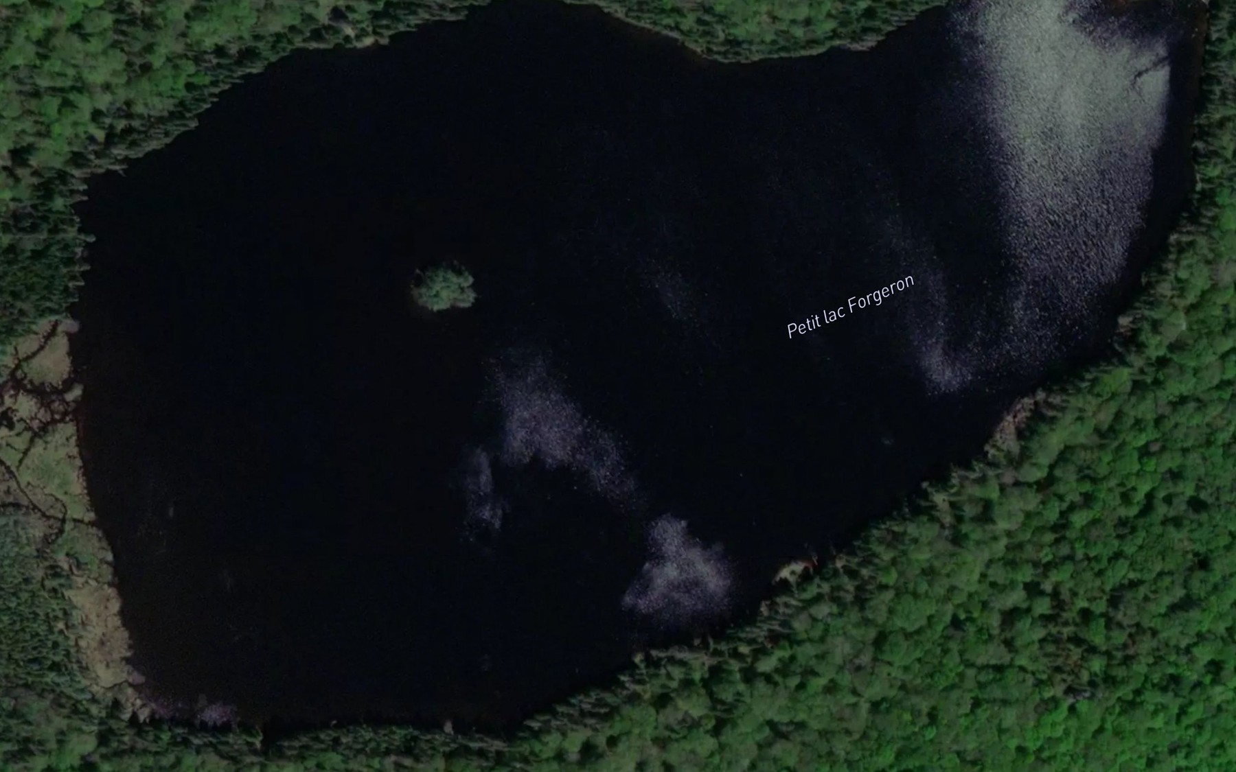Satellite map of the Petit lac Forgeron