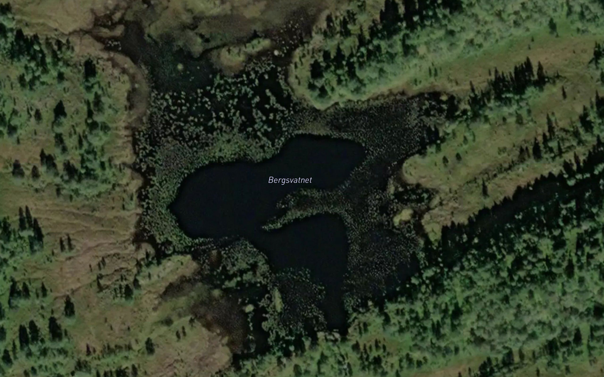 Bergsvatnet