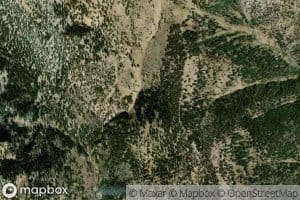 Mustang Spring