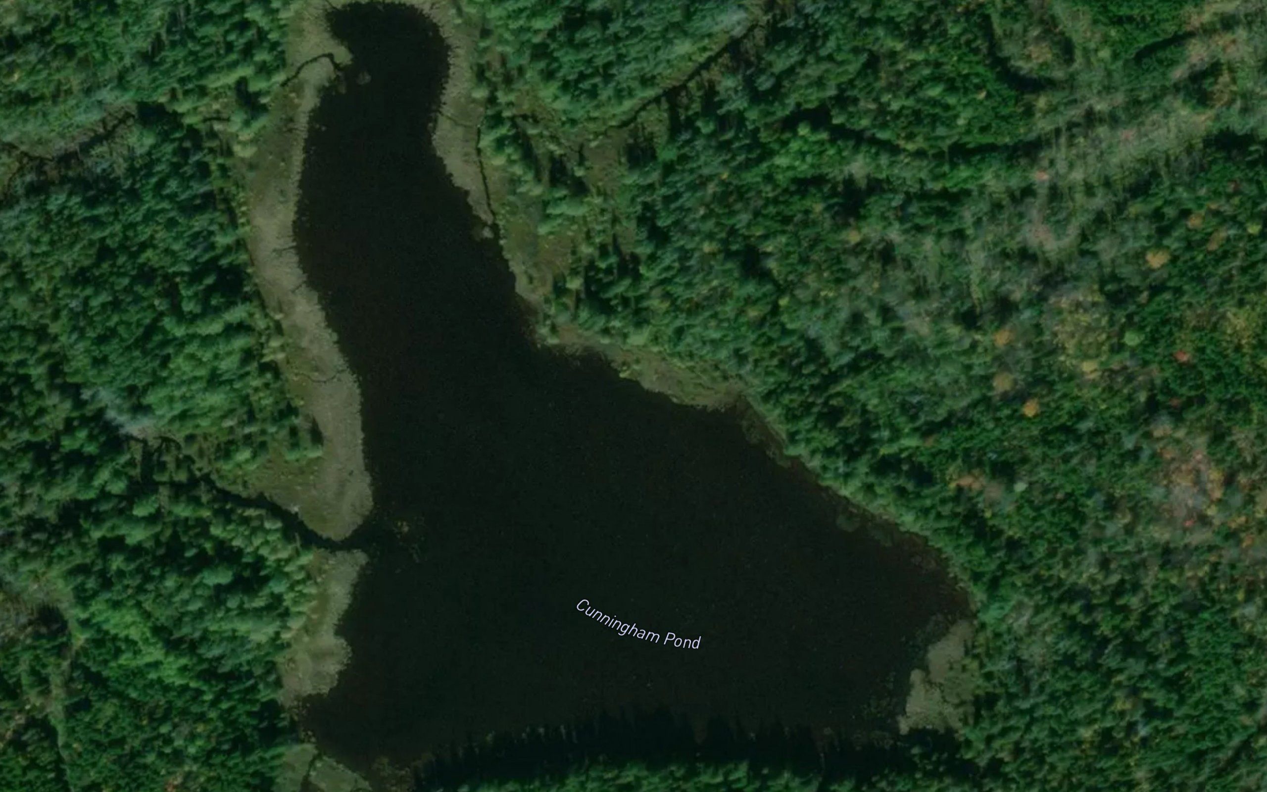 Cunningham Pond